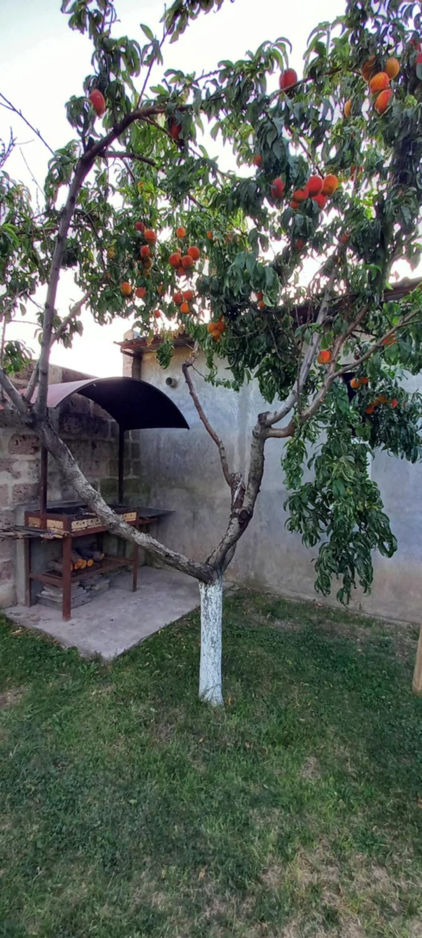 Kalachi guest house Armenia