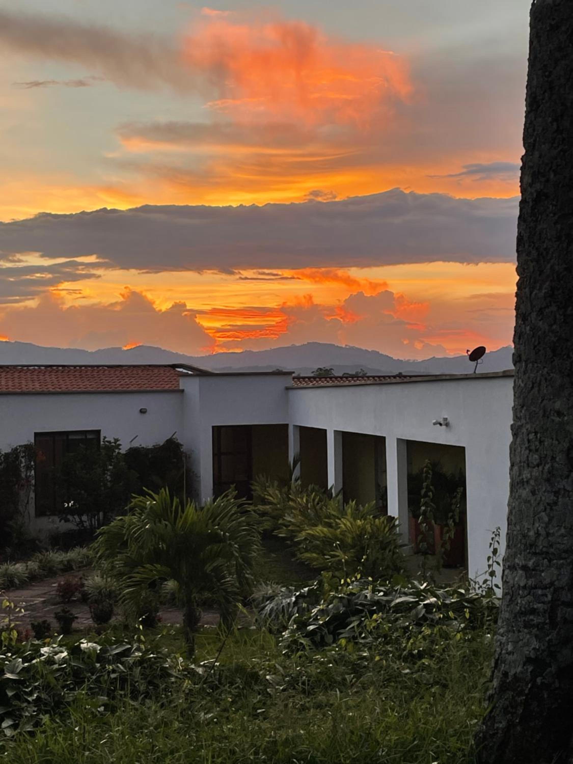 Hotel Boutique La Ceiba