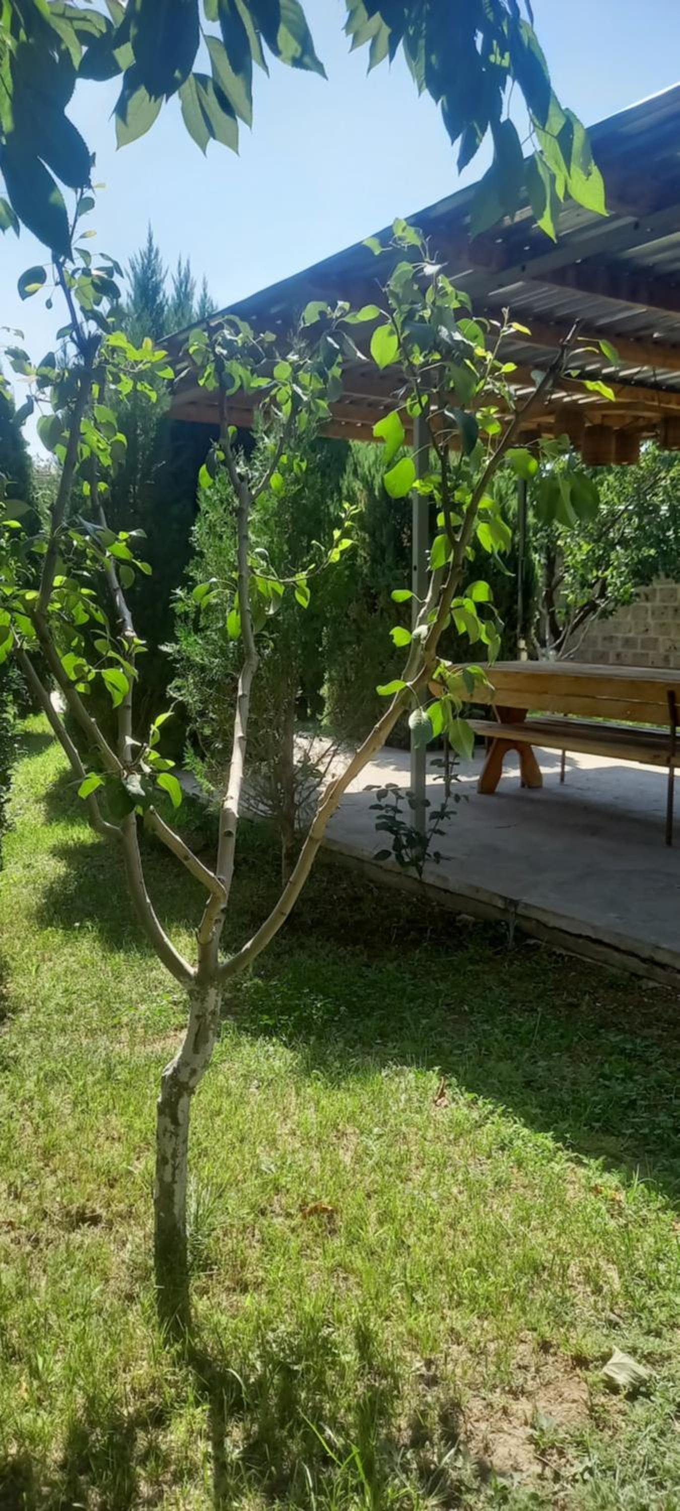 Kalachi guest house Armenia