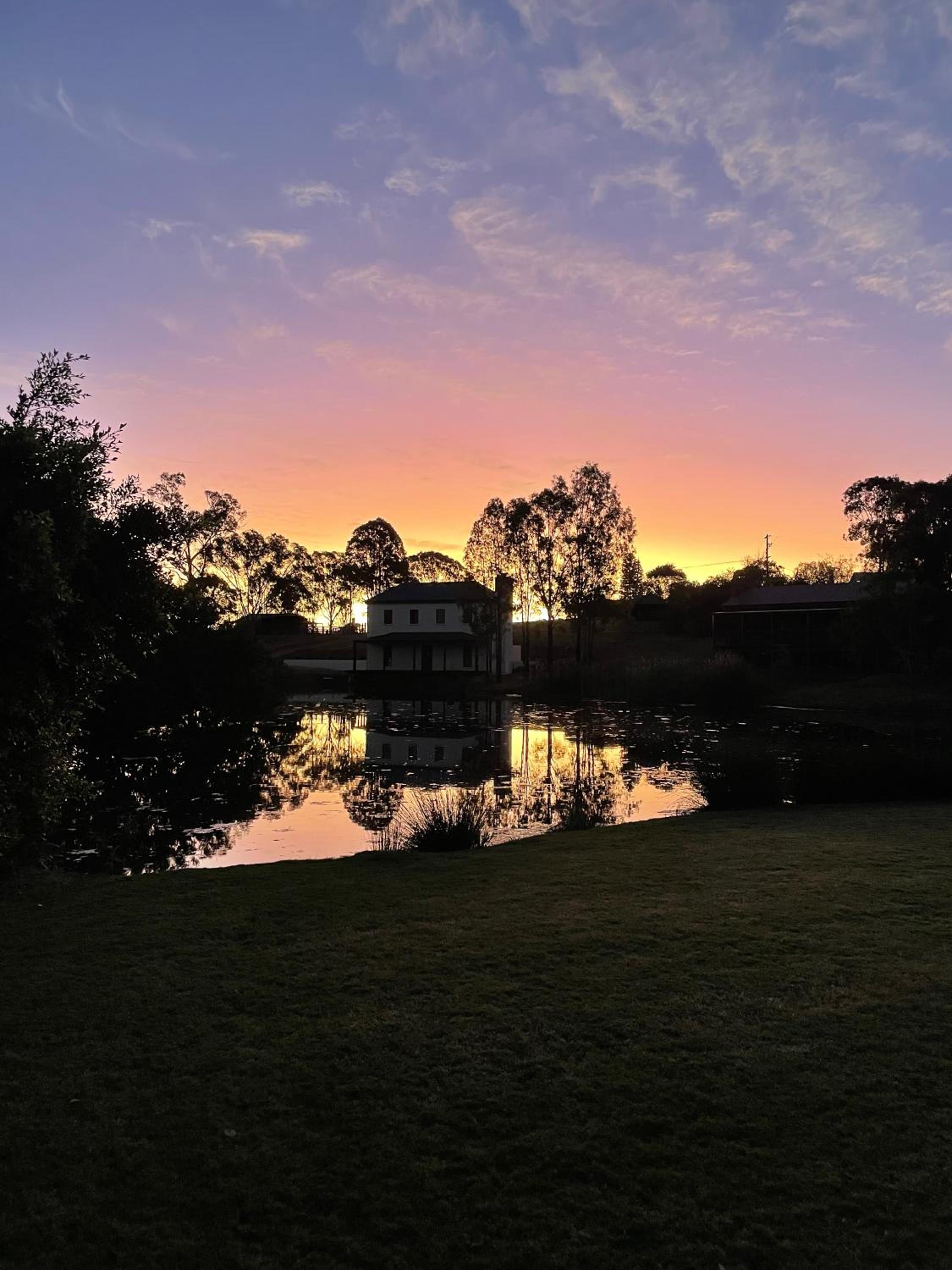 Dusty Hill Vineyard - Moffatdale