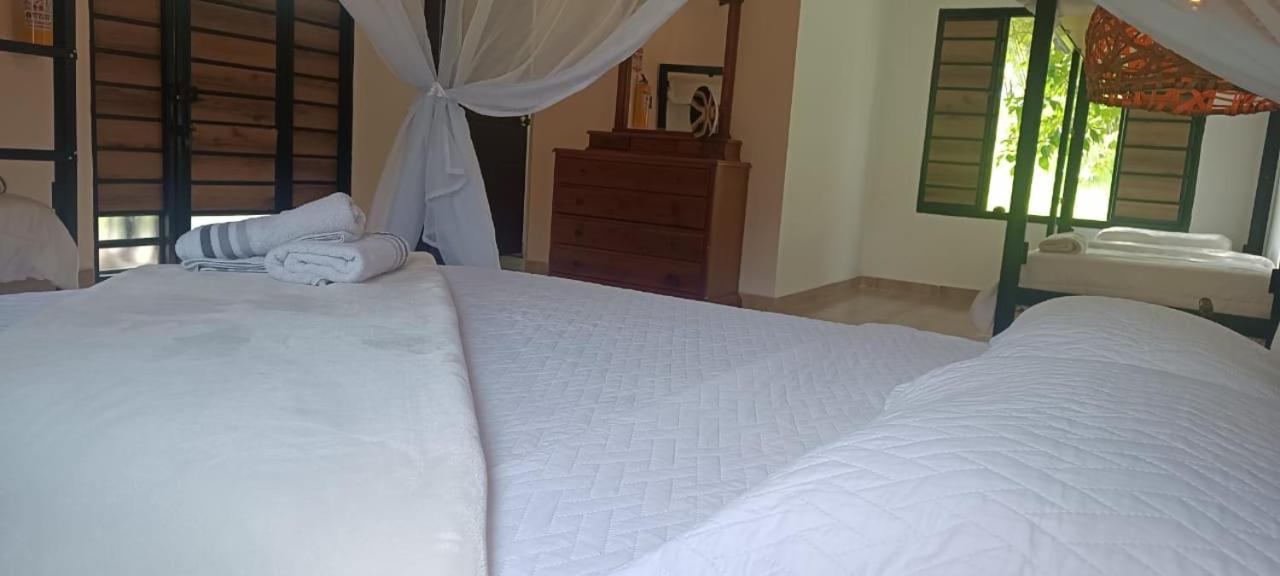 Hotel oBeja negra Muki