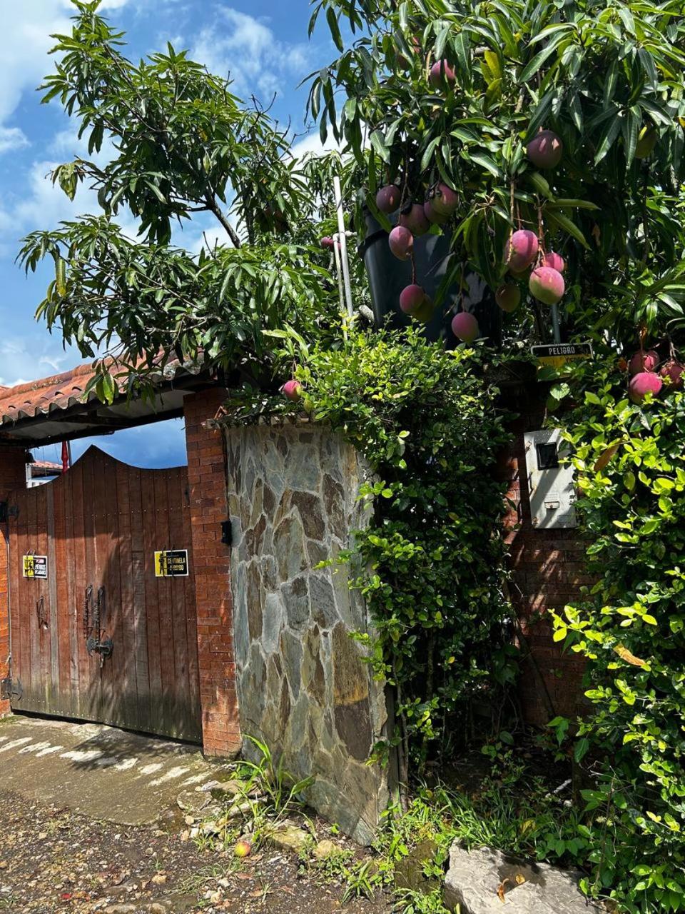 Finca ecoturistica Los Mangos