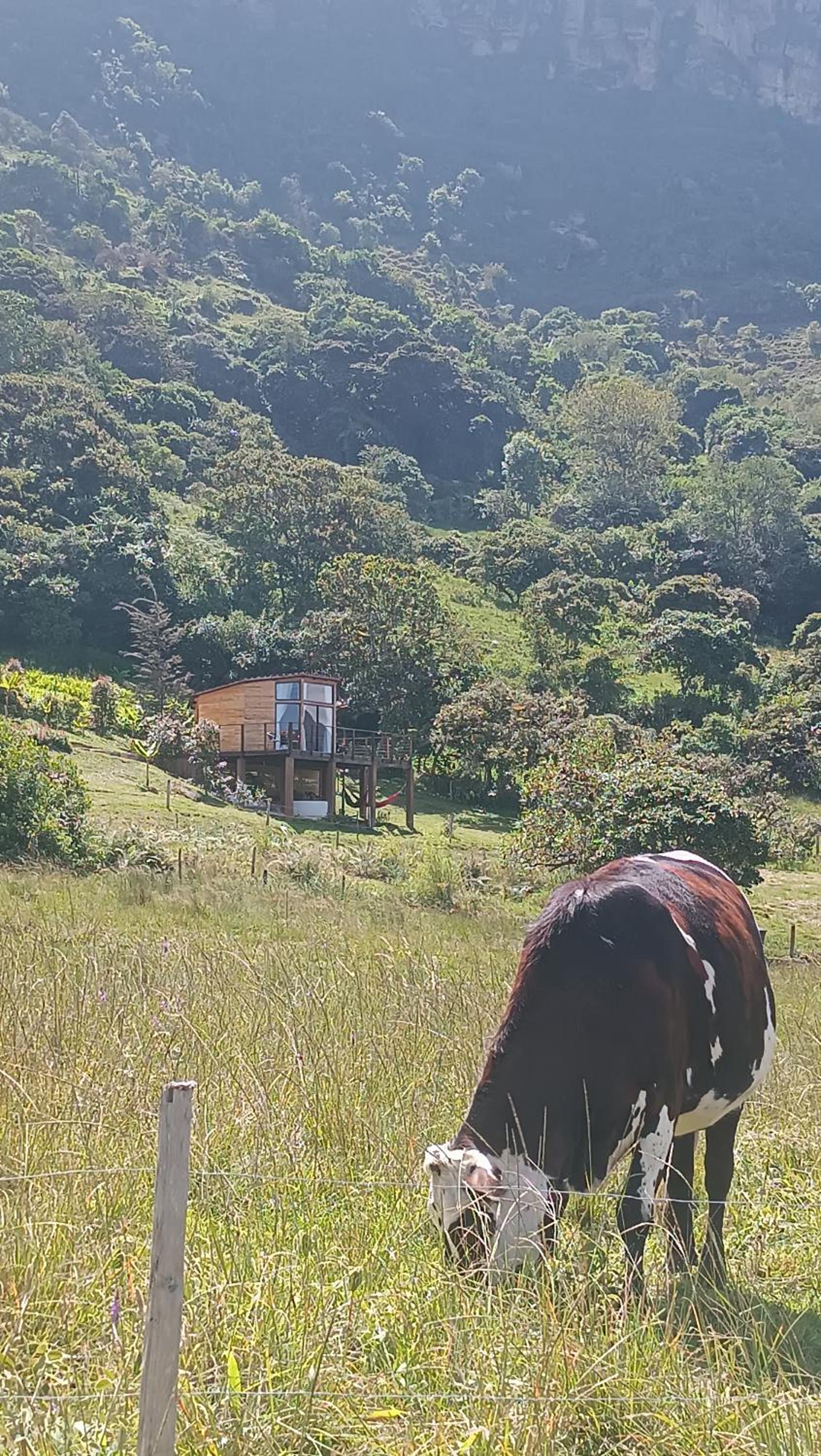Cabaña al aire libre en Macheta Cundinamarca - Tiny House - Glamping Caelum