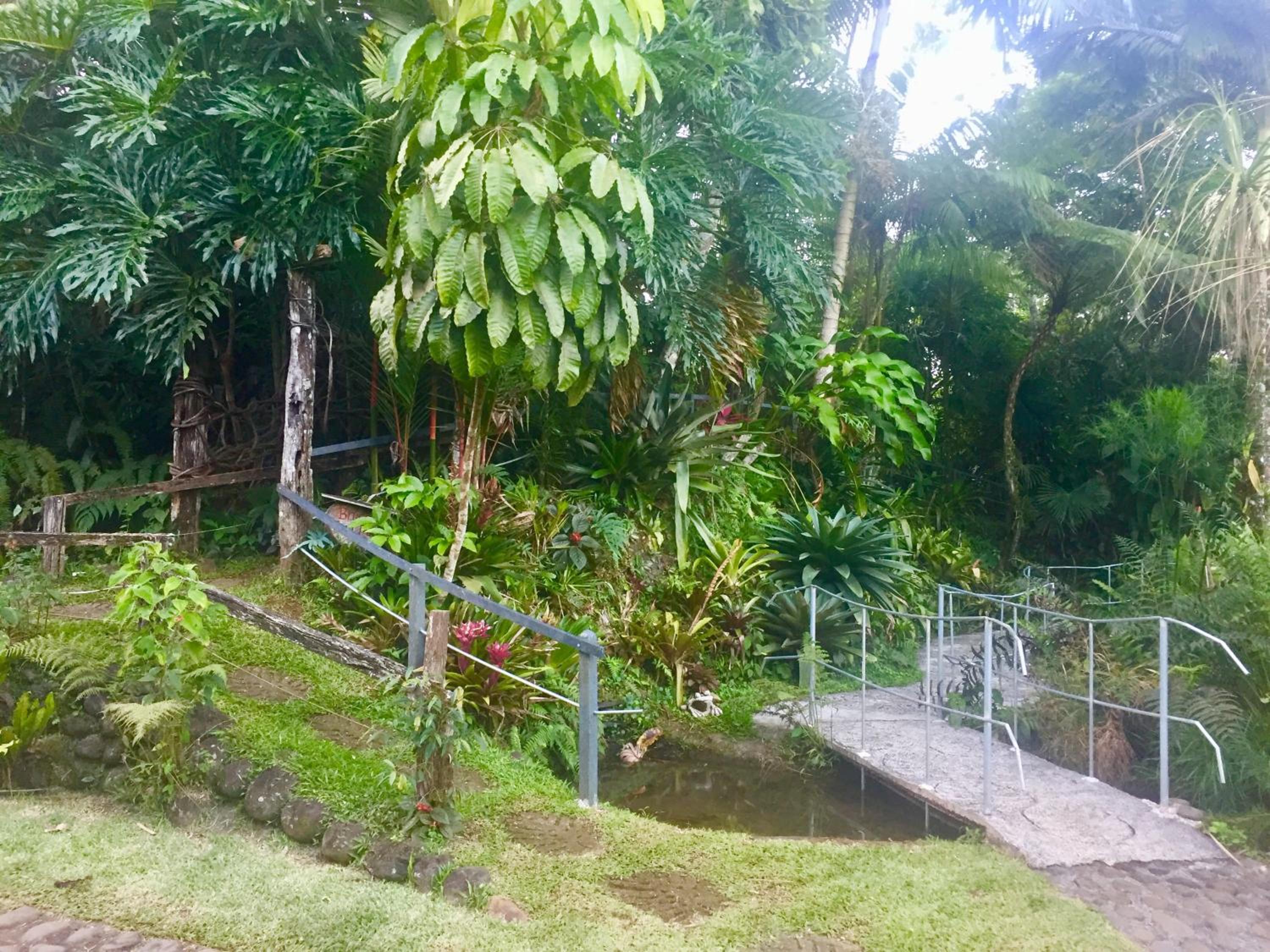 Botanica Gardens and Eco Lodge