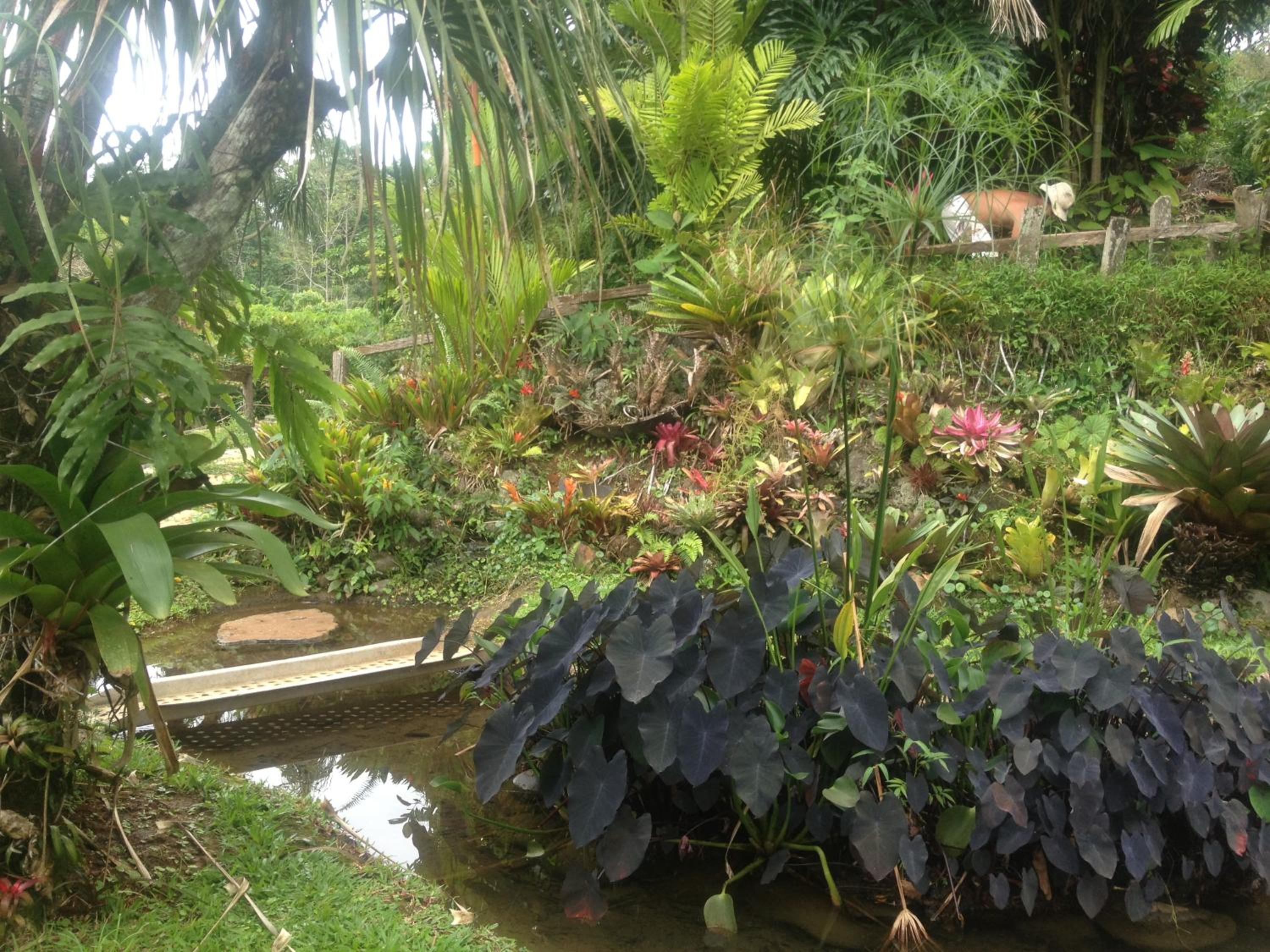 Botanica Gardens and Eco Lodge