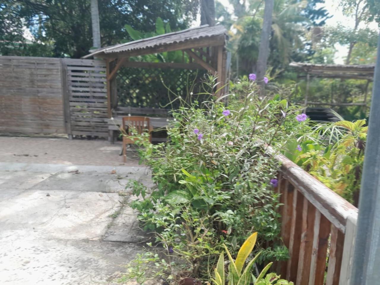 Creole Escapade Rustic House Beach Baie du Moule view 3