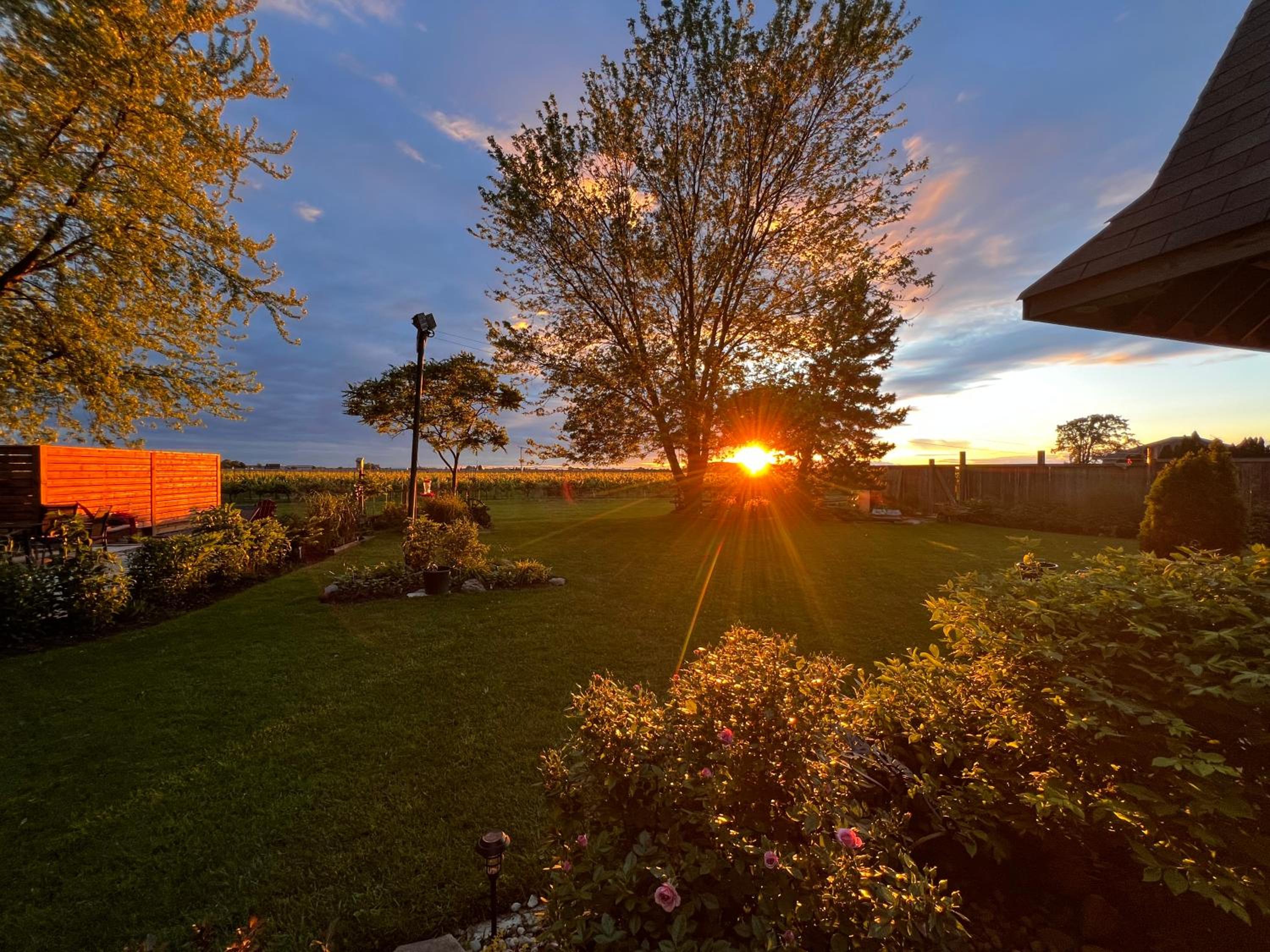 Sunset Suites in Niagara Wine Country