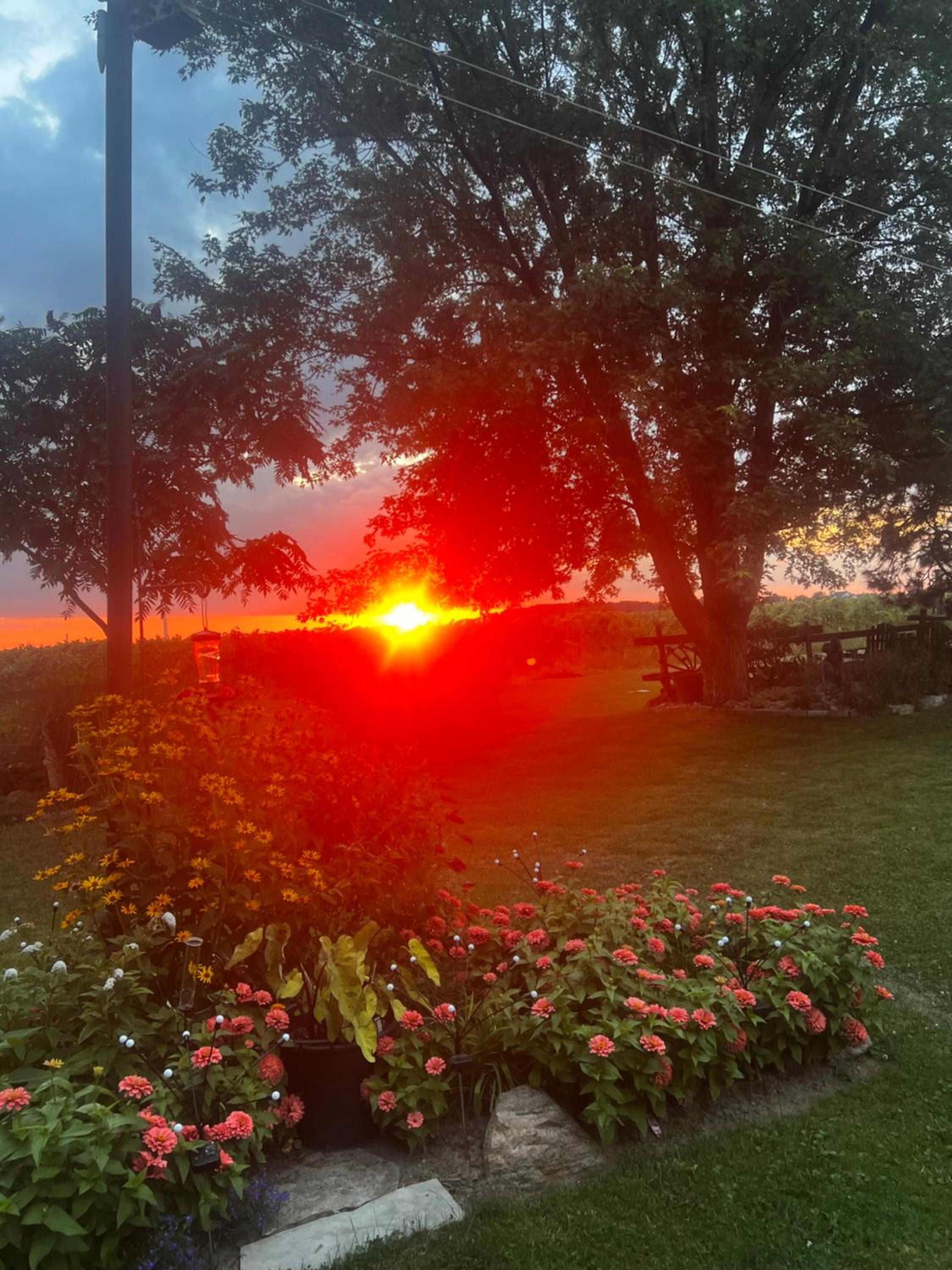 Sunset Suites in Niagara Wine Country