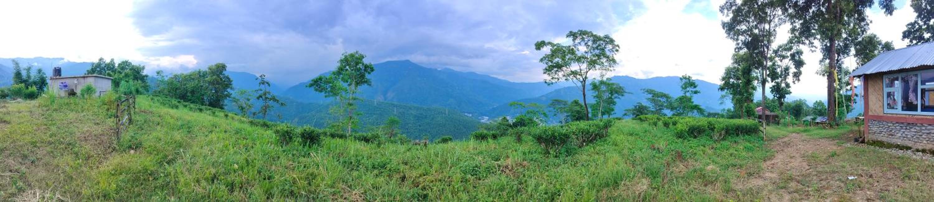 Himali Danda Homestay