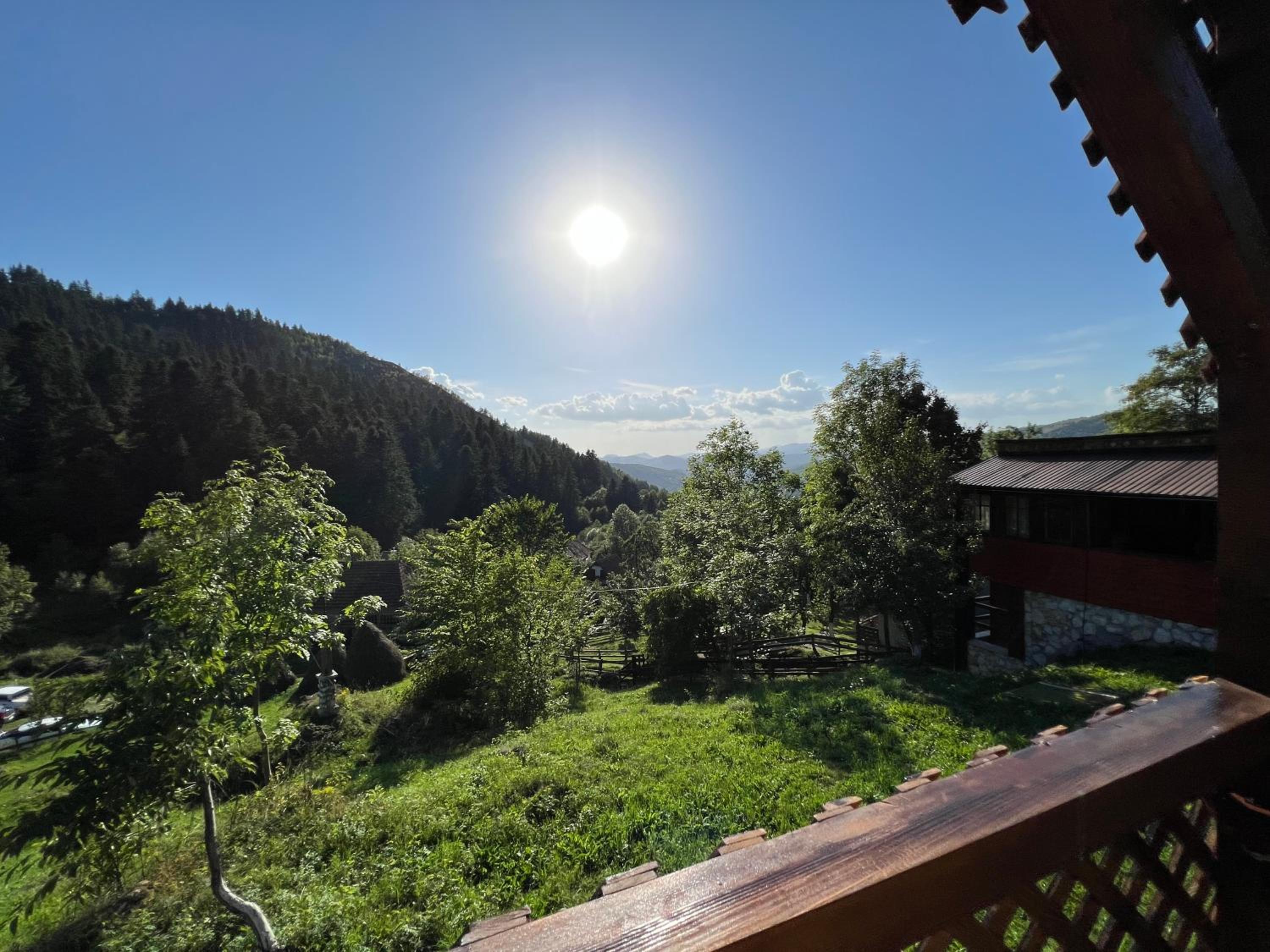 Cabana "Tăul Brazi" view 4