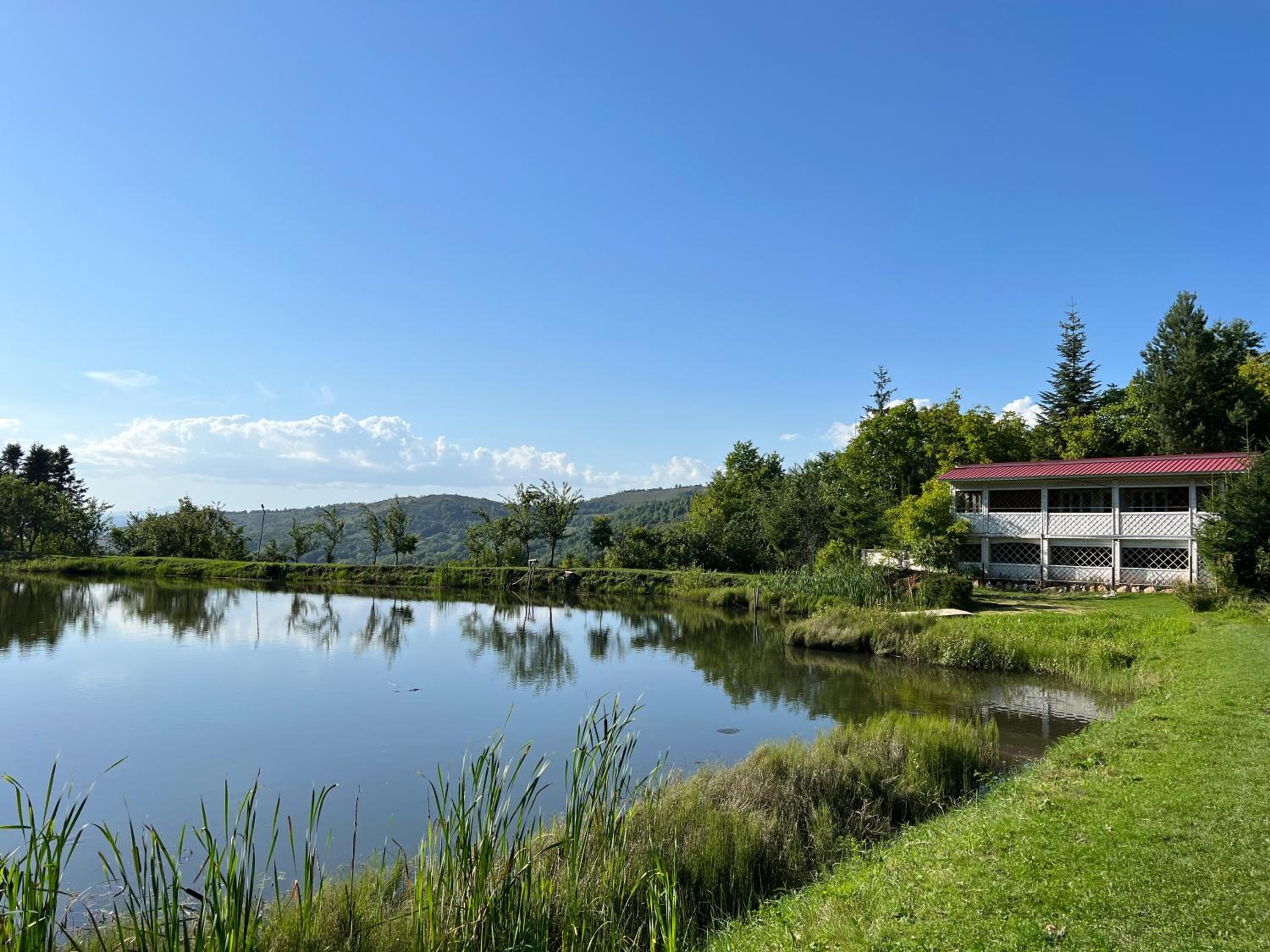 Cabana "Tăul Brazi" view 3