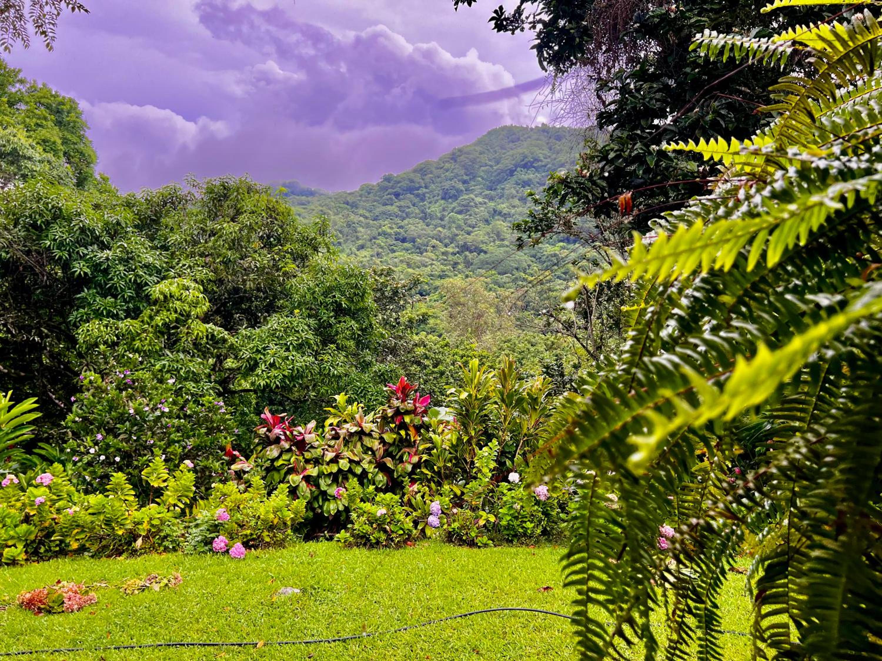 Casa Arimaca, Minca, Sierra Nevada de Santa Marta