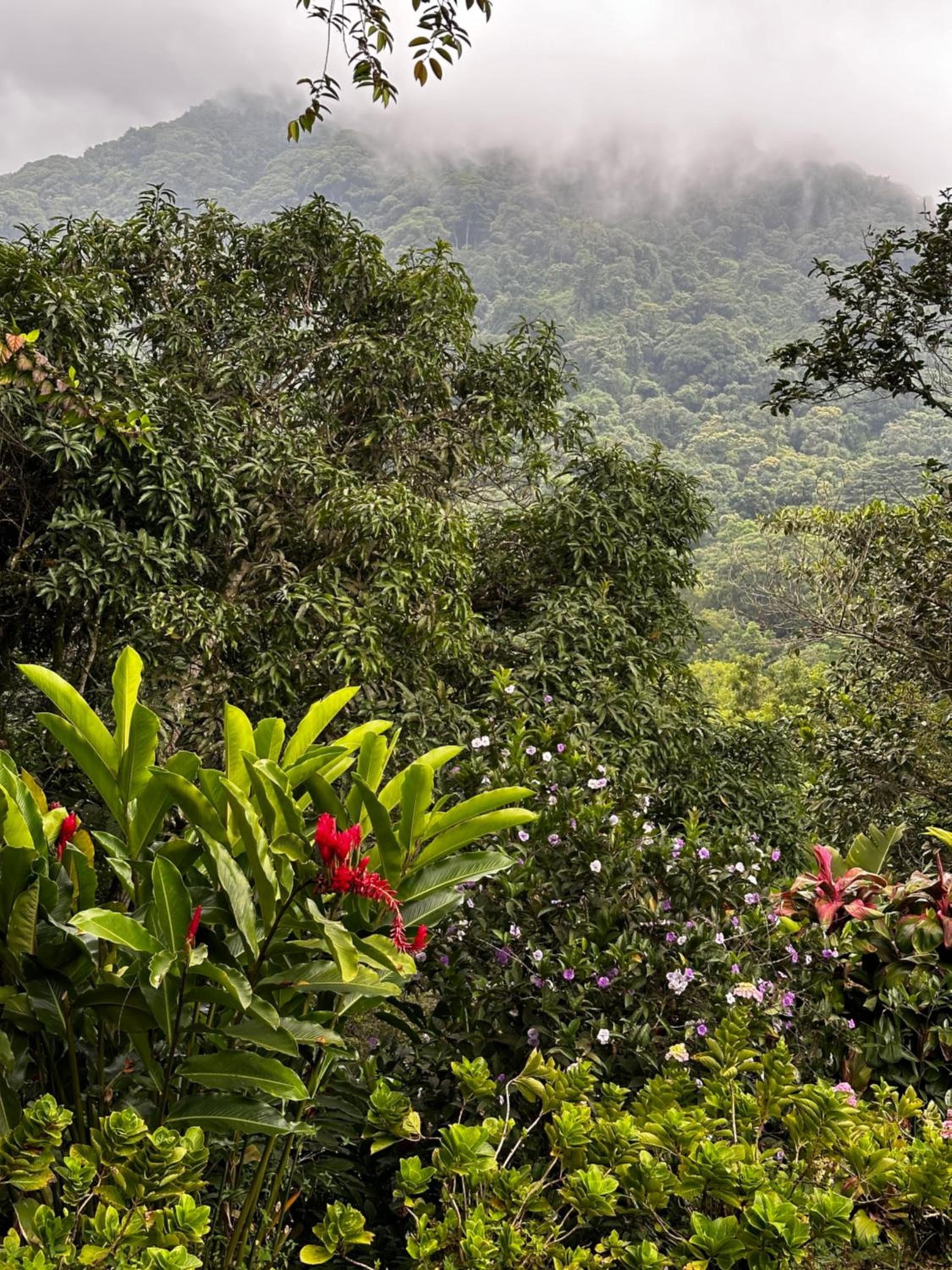Casa Arimaca, Minca, Sierra Nevada de Santa Marta