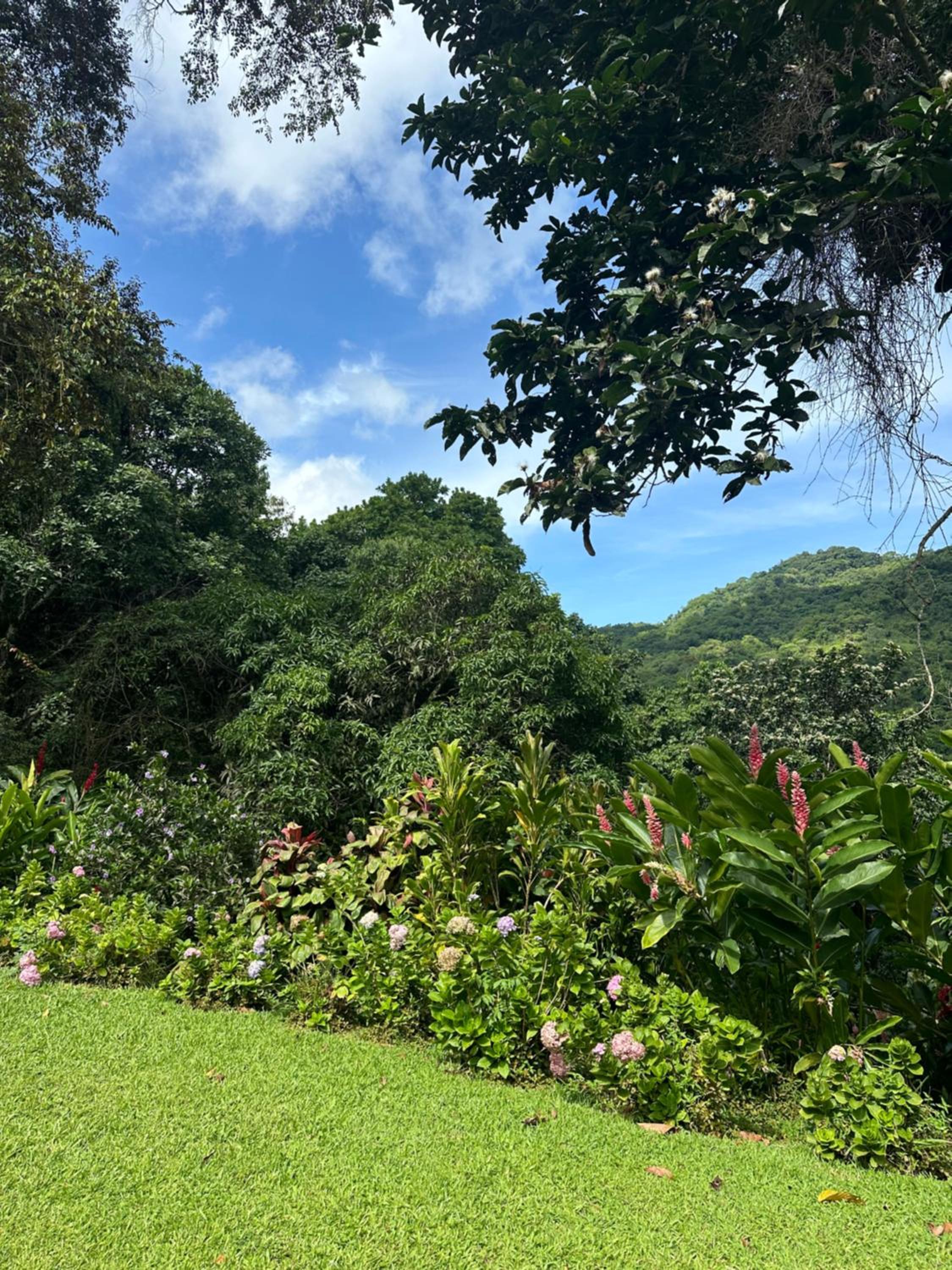 Casa Arimaca, Minca, Sierra Nevada de Santa Marta