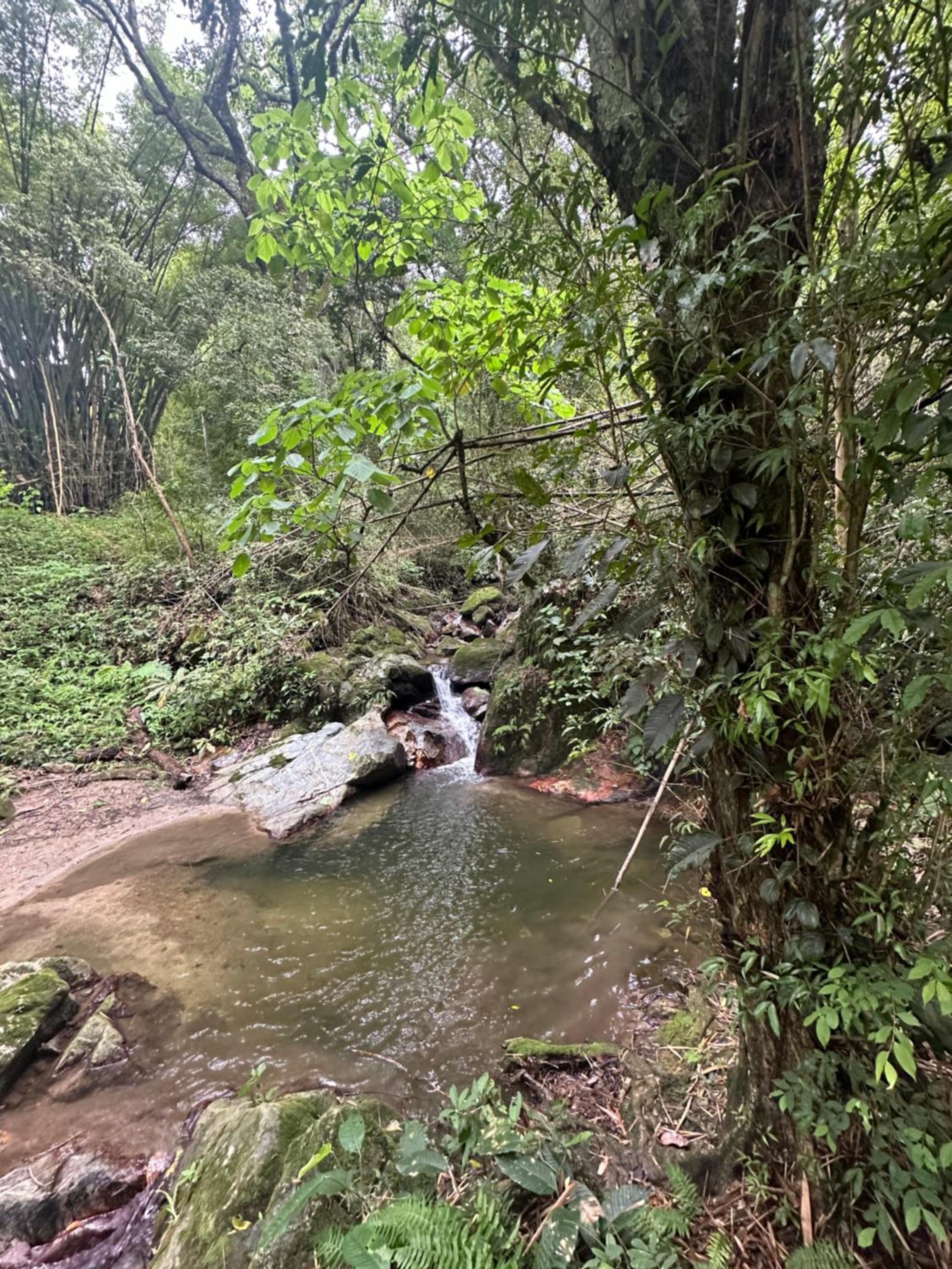 Casa Arimaca, Minca, Sierra Nevada de Santa Marta