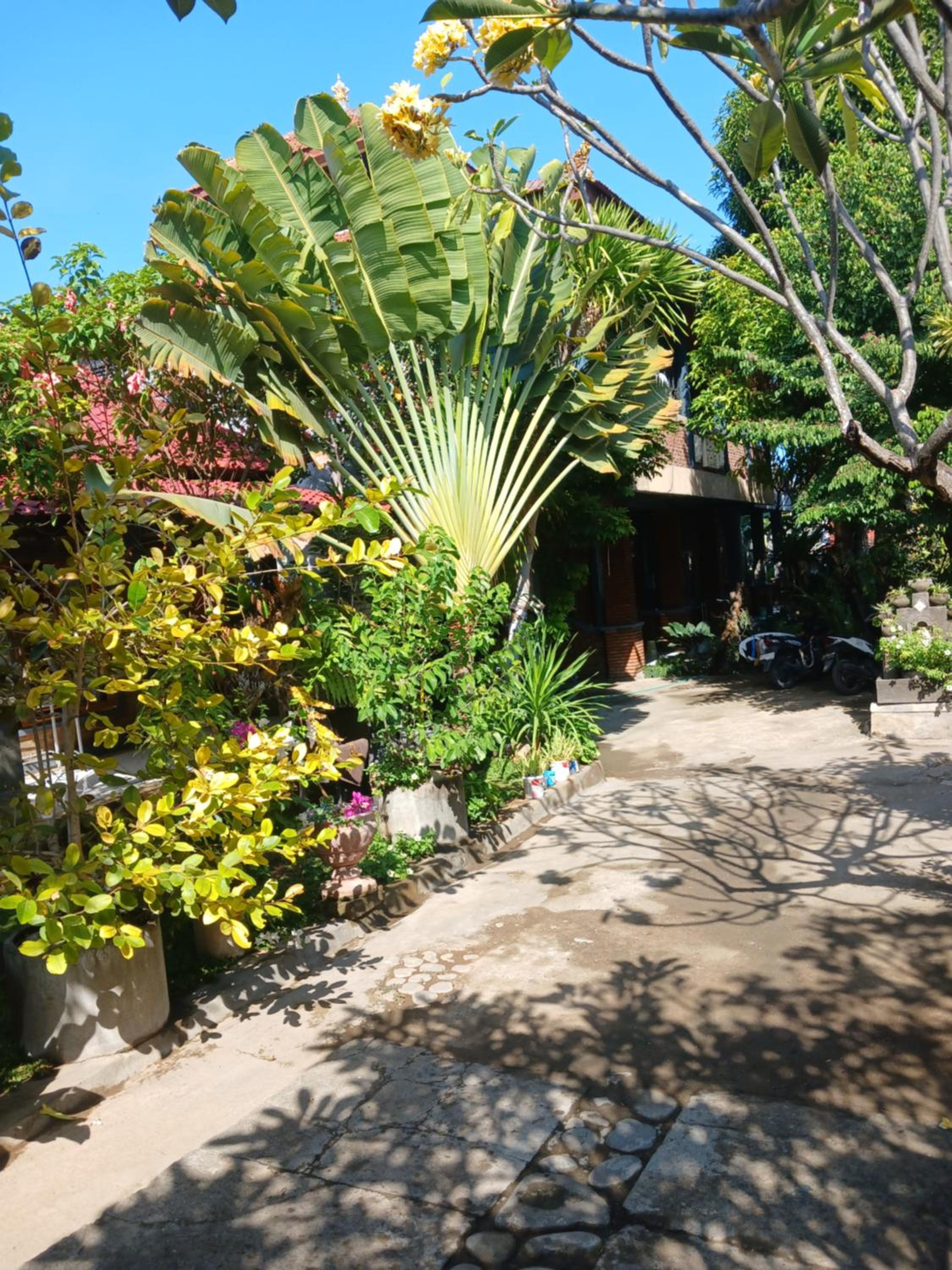 Danny juljol homestay
