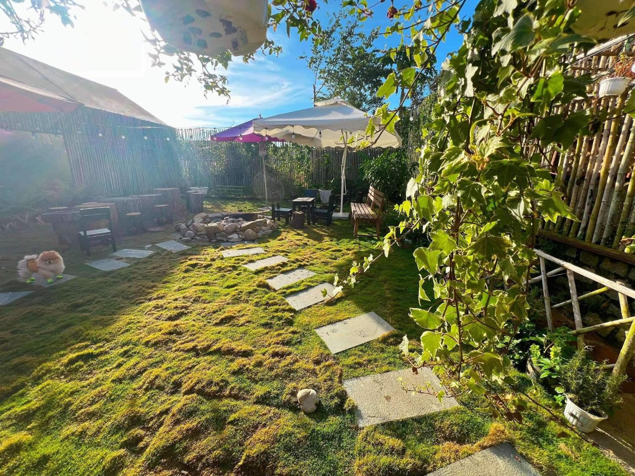 Nhà Của Ba Homestay Đà Lạt view 3