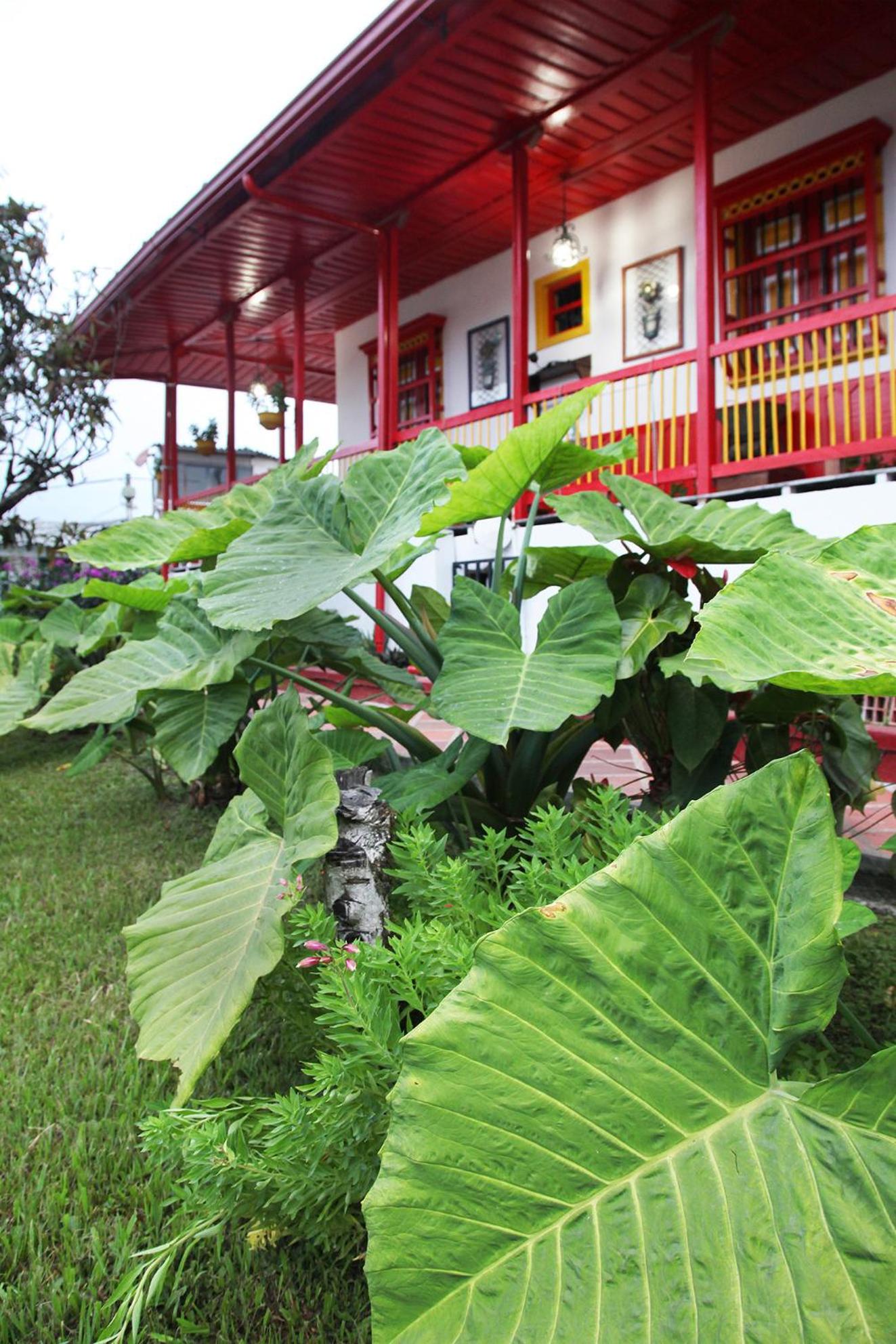 Coronel's Peak Coffee House