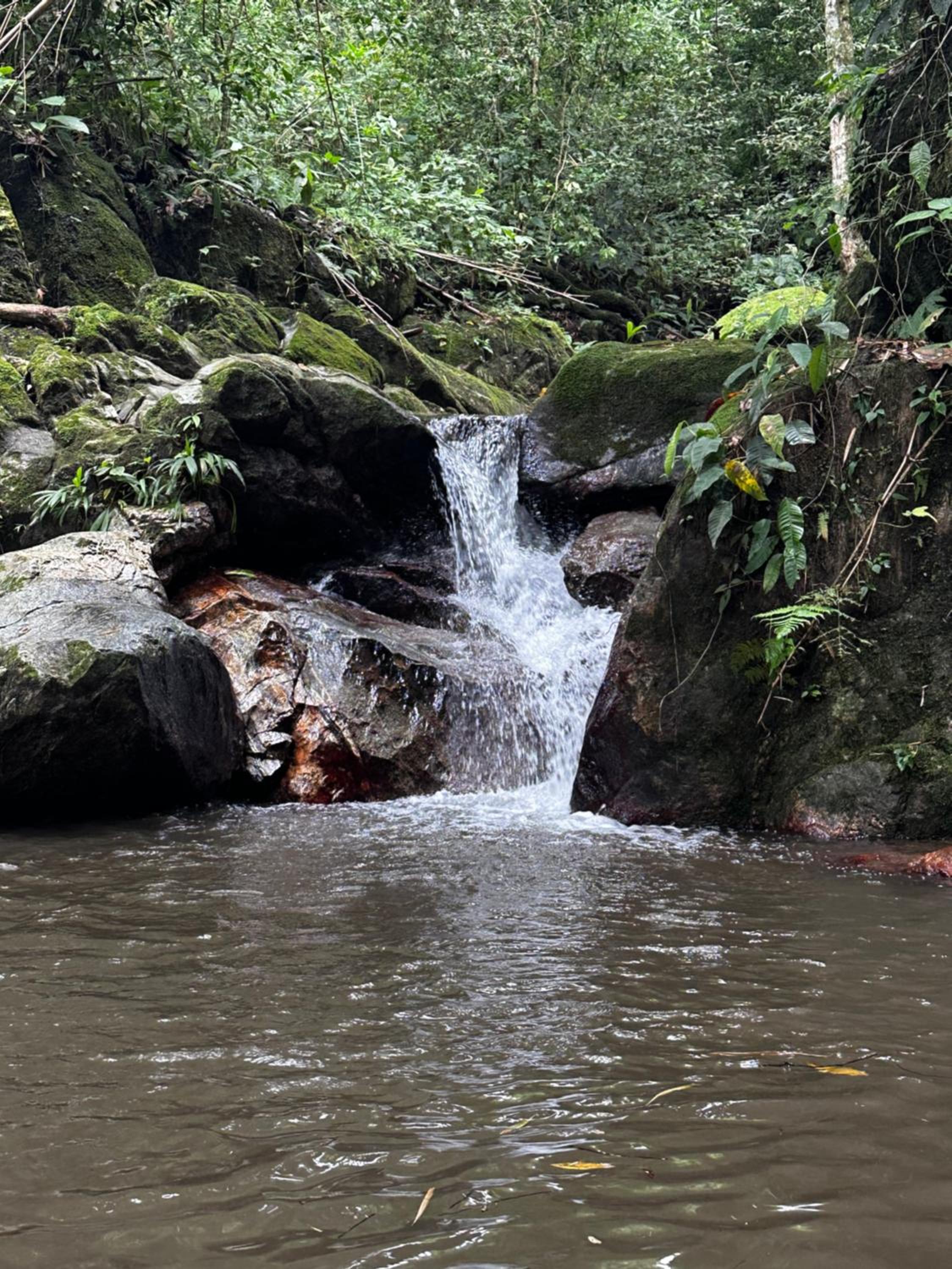Casa Arimaca, Minca, Sierra Nevada de Santa Marta