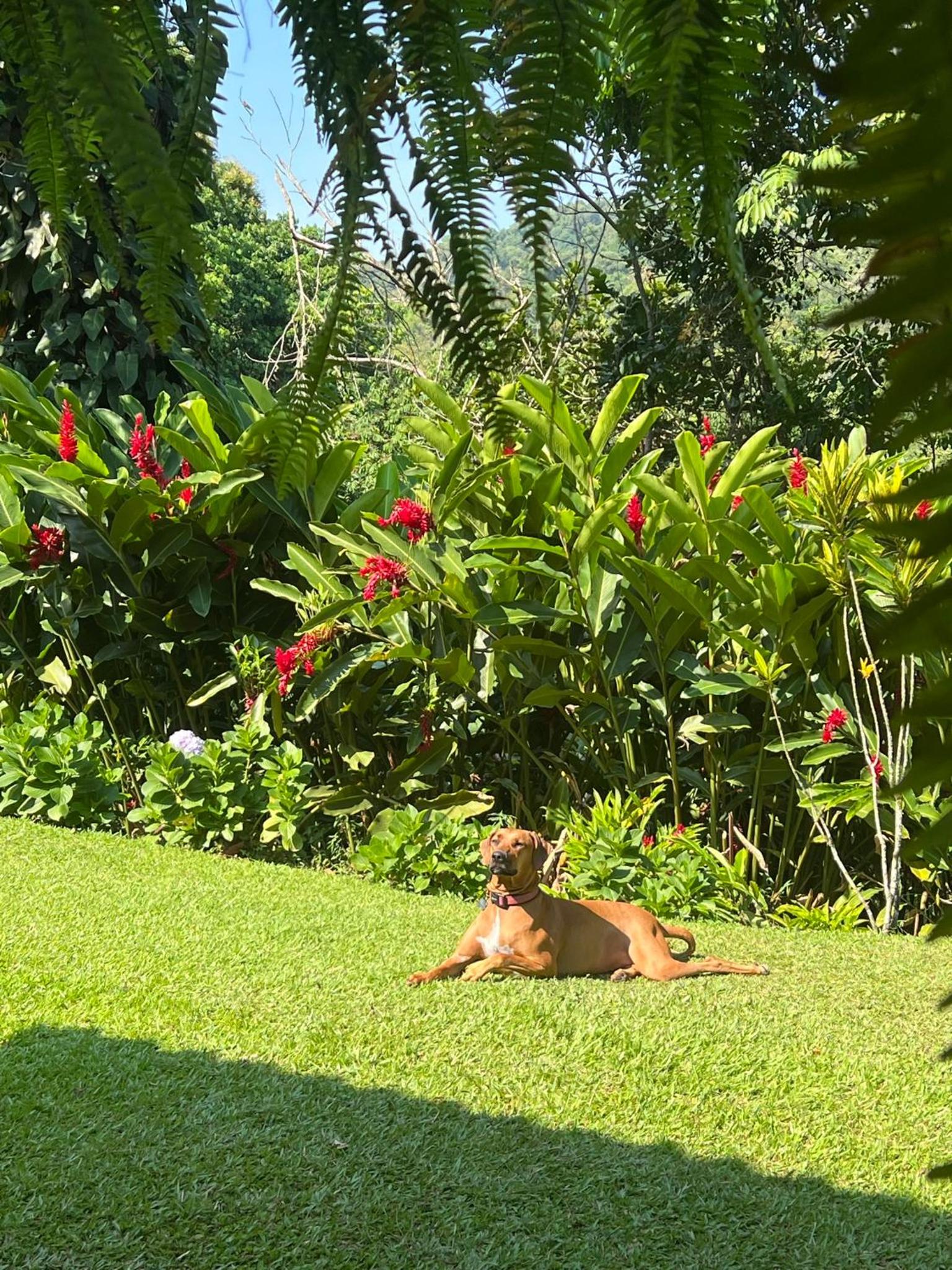 Casa Arimaca, Minca, Sierra Nevada de Santa Marta