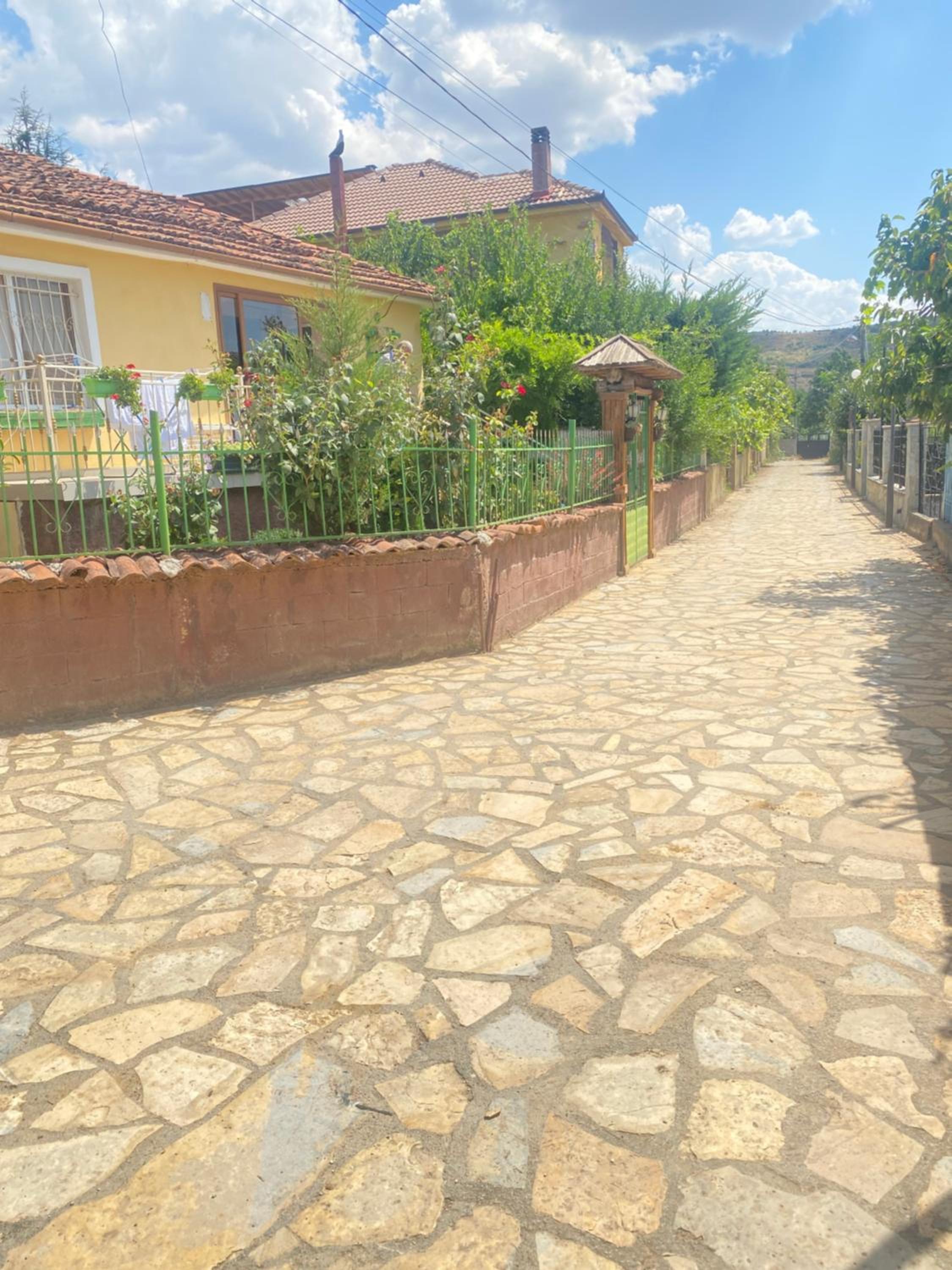 Vileta Auri