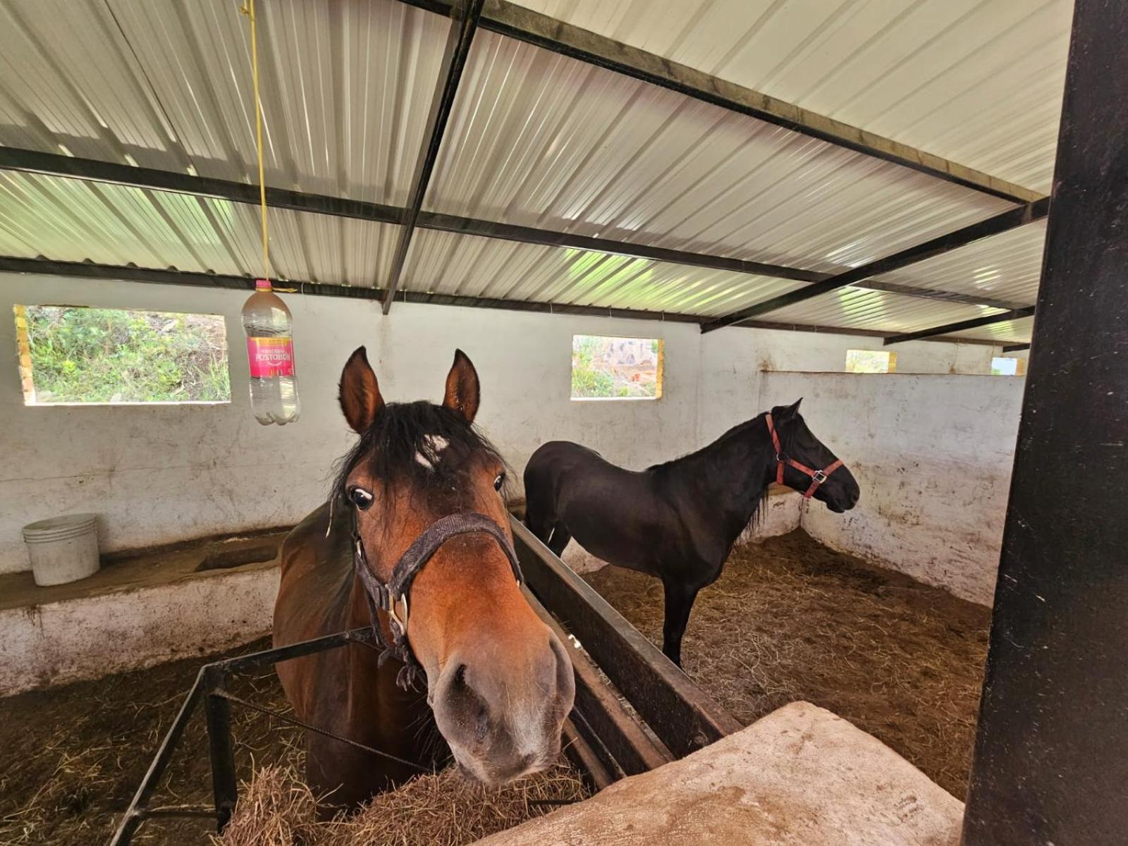 Finca La Esperanza Ubaté