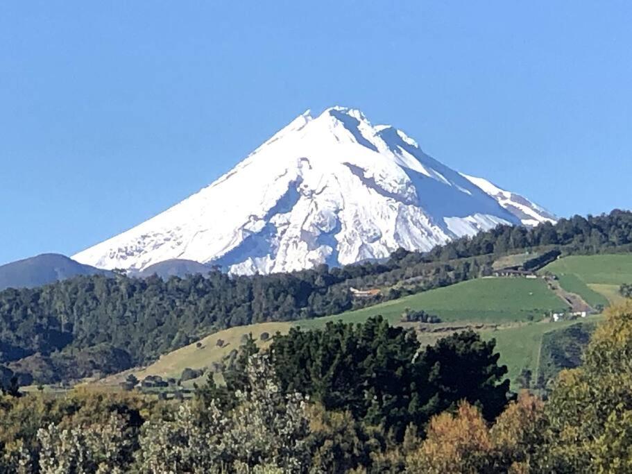 Oakura Pond Cottage - A unique kiwi holiday Bach view 4