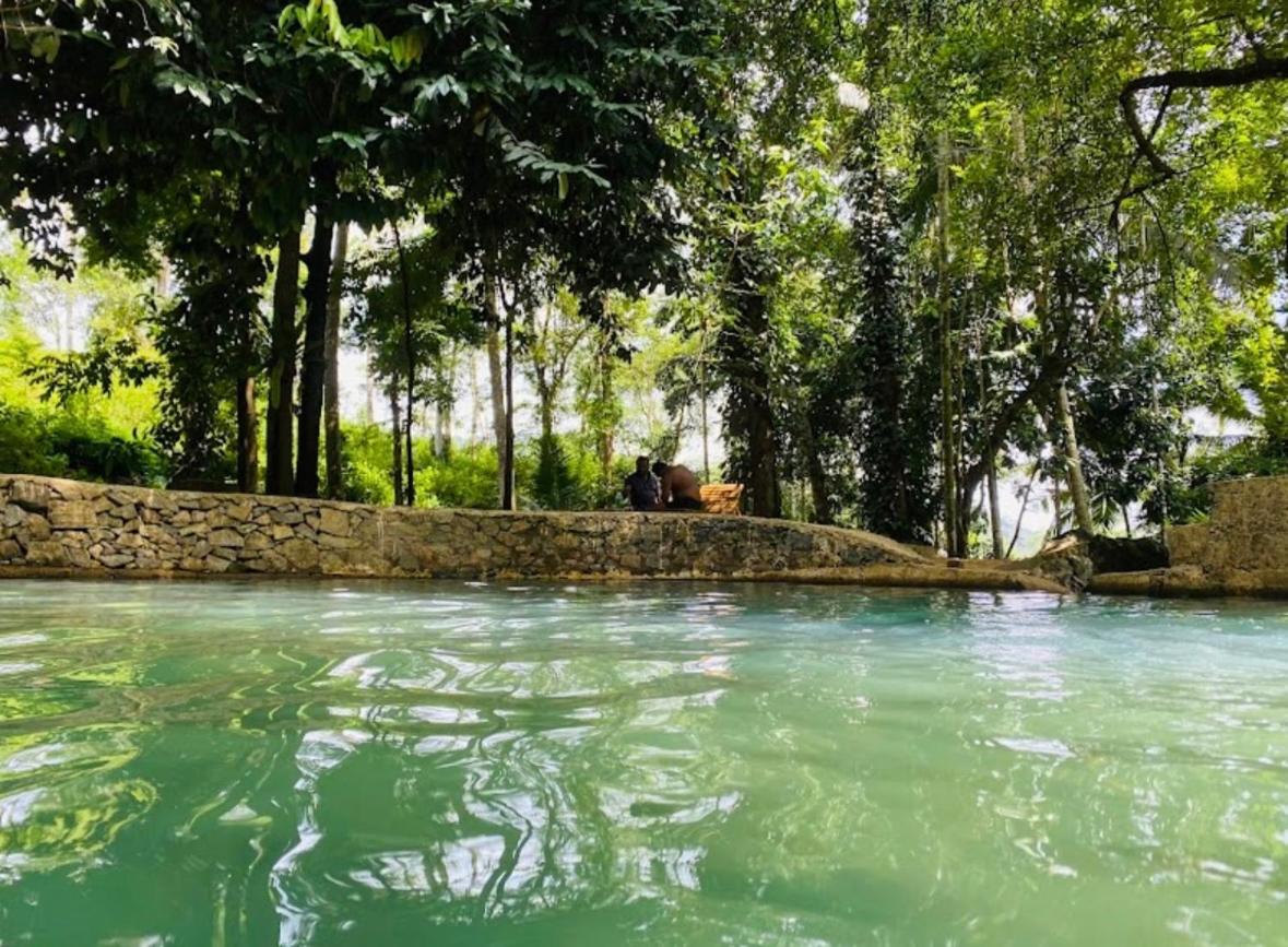 Hangarankanda Bungalow Deniyaya view 2