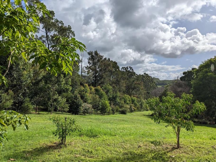 Samsara Farm Cottage - Stunning hinterland oasis