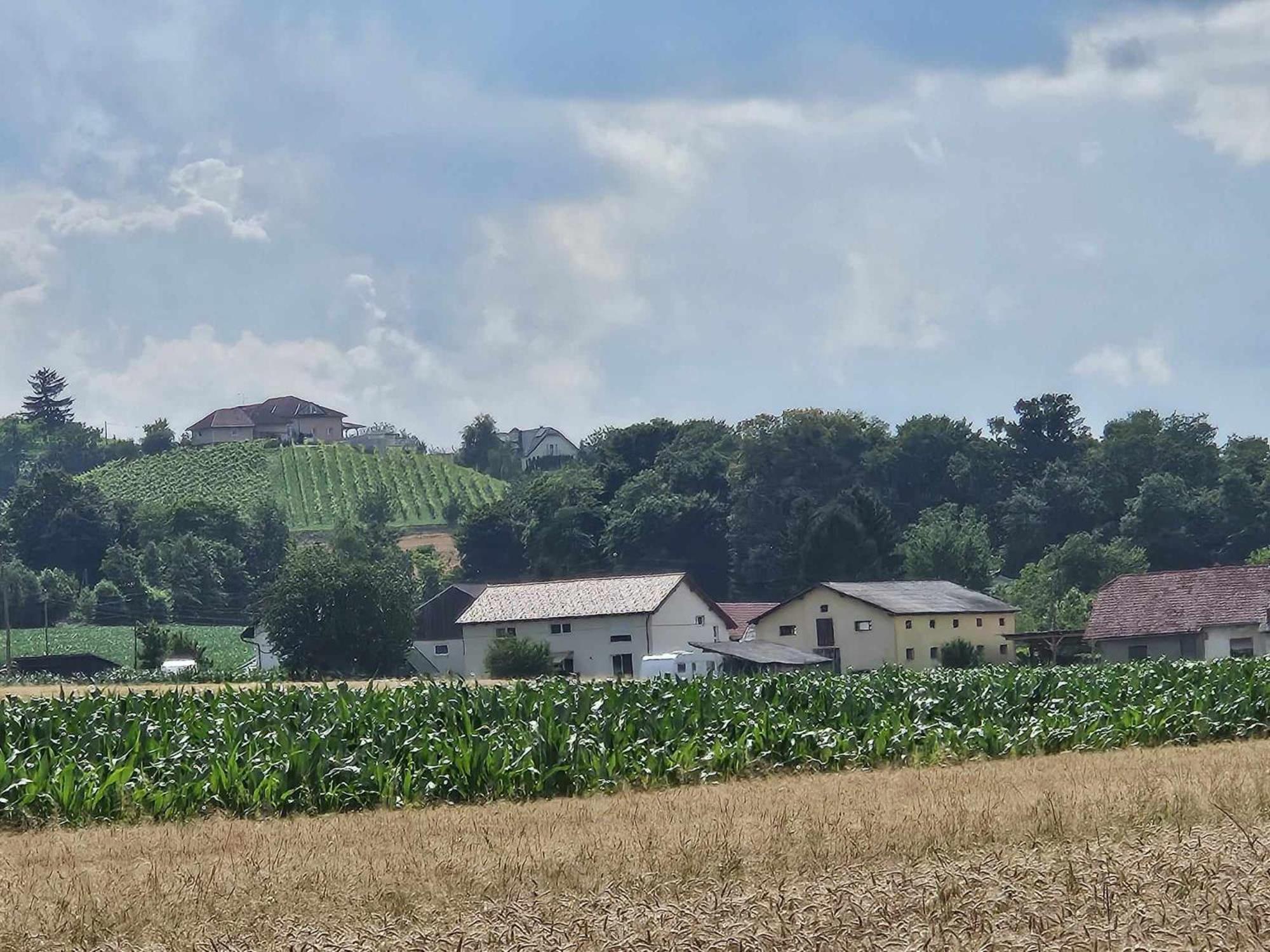 Deluxe Oase der Ruhe - Wohnwagen im Kornfeld view 3