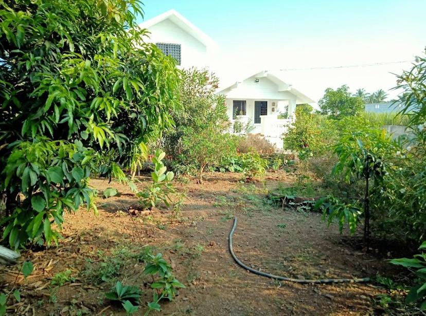 Kale farms Agro-Tourism view 2