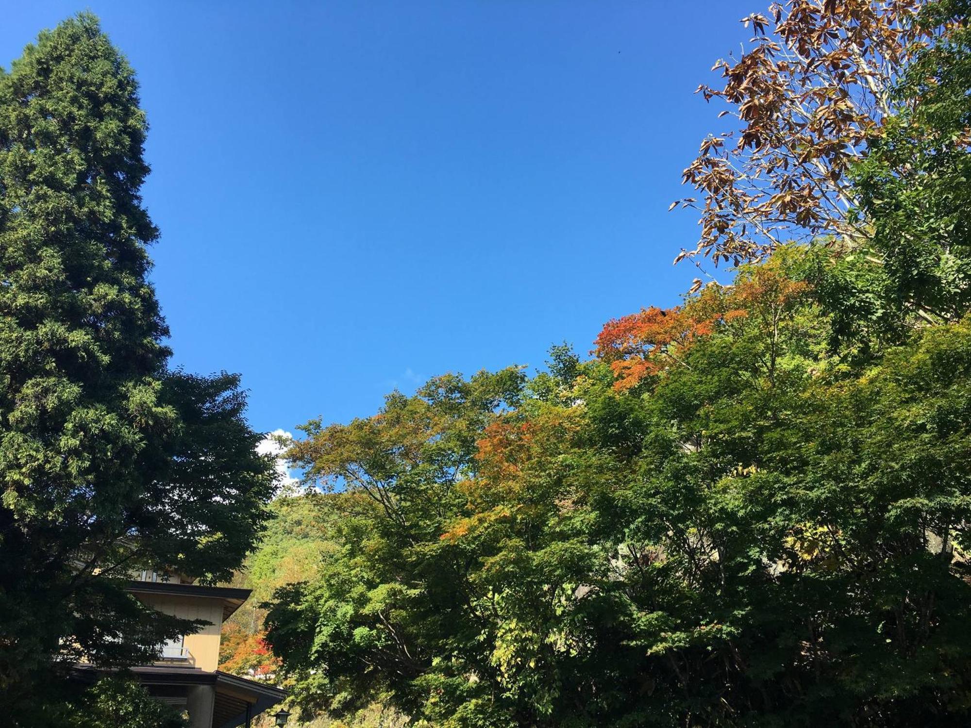 Takaragawa Onsen Osenkaku 52