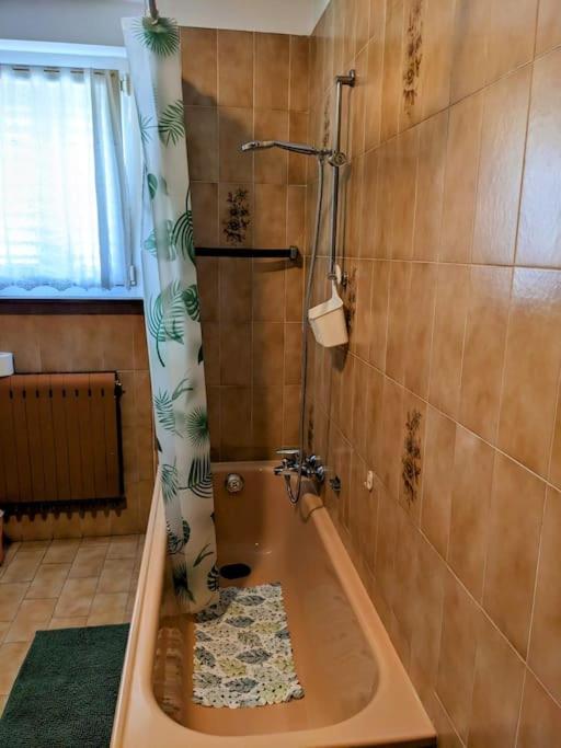 Lakeview apartment