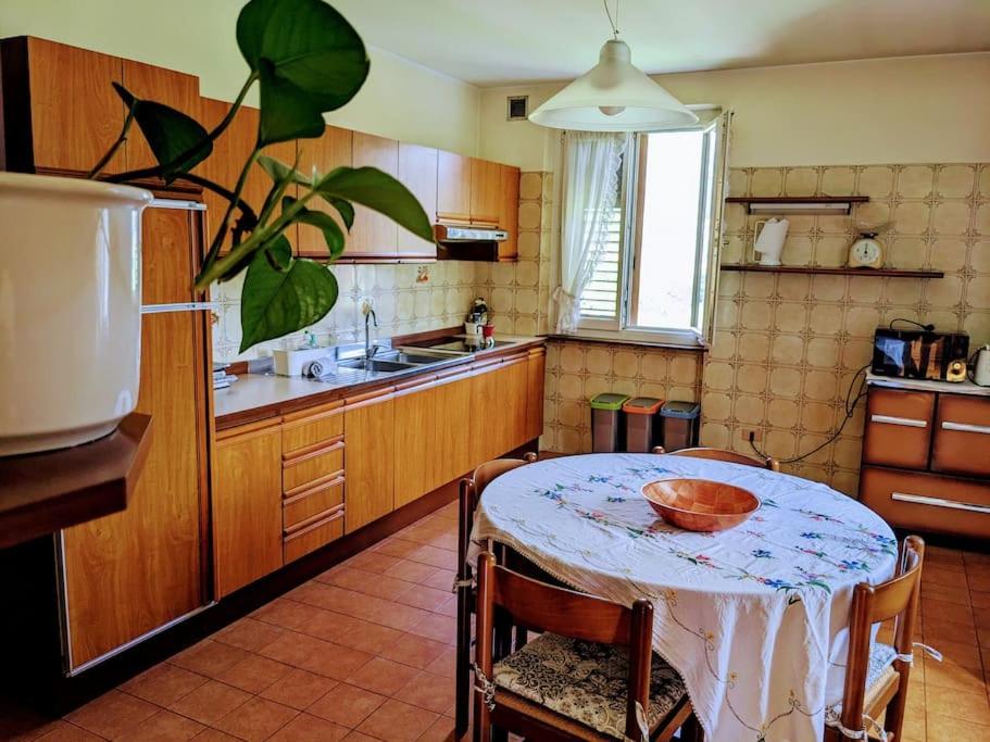 Lakeview apartment