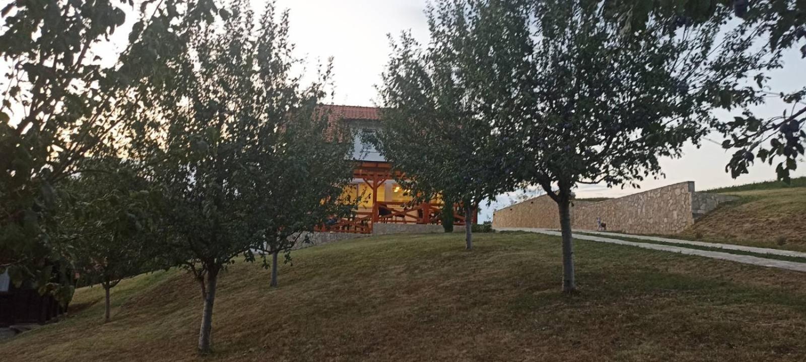 Photo 36