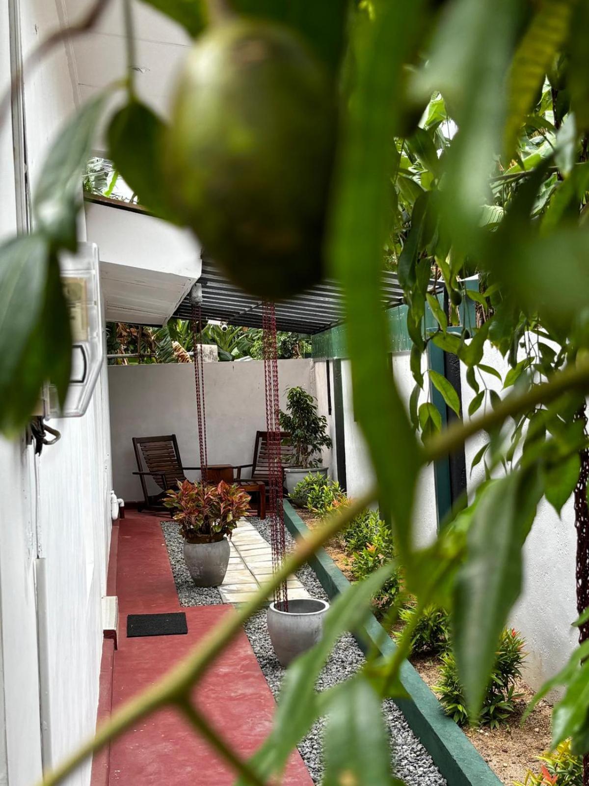 Palmwood Cottages