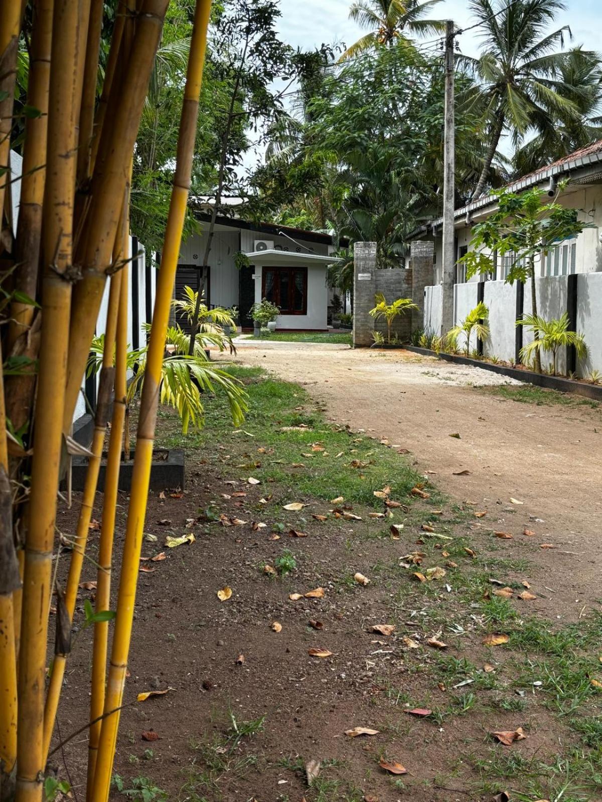 Palmwood Cottages