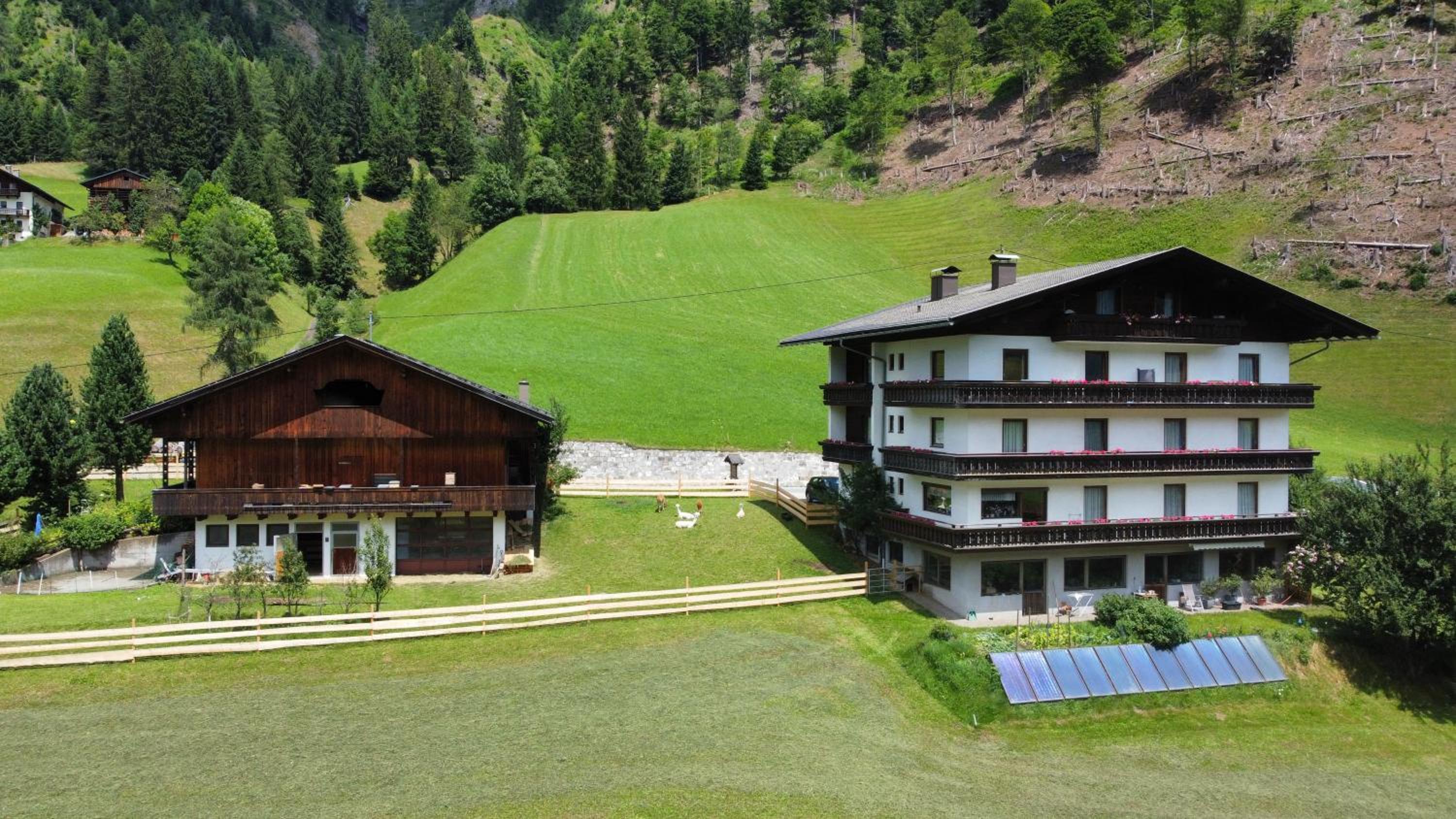 Alpakahof Strieder view 4