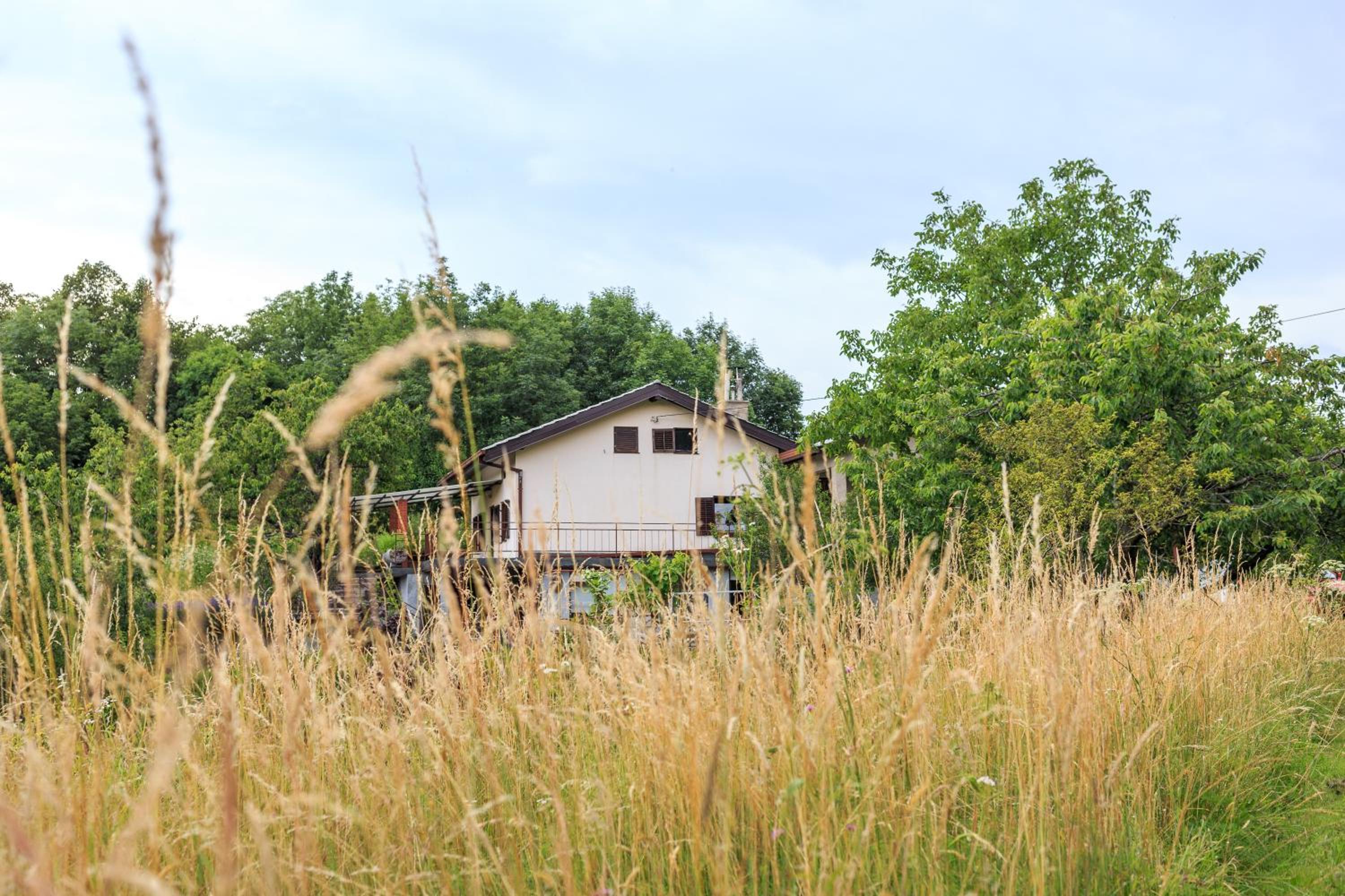 Podgozd Holiday House