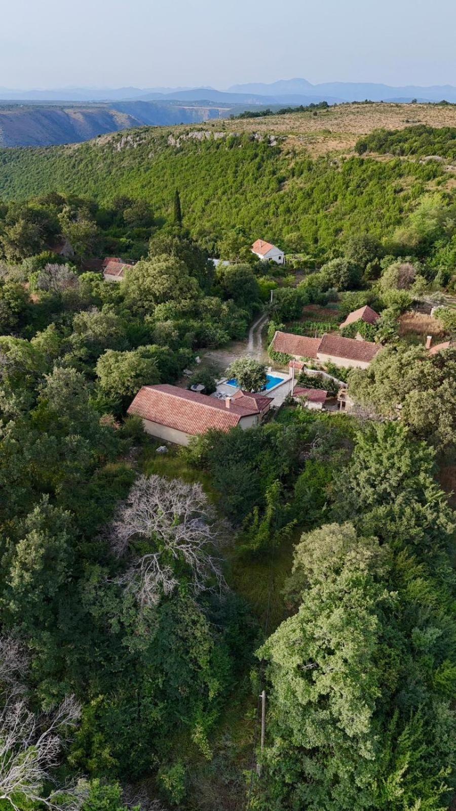 “House Botić”