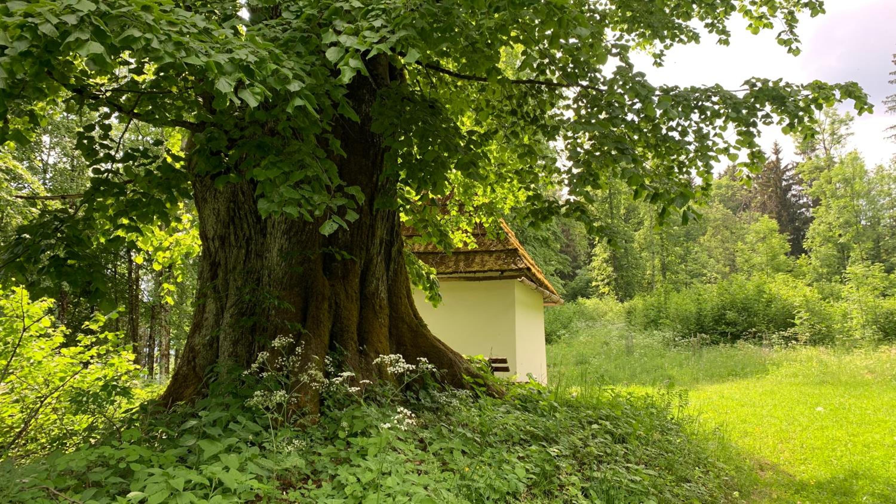 Loft am Park