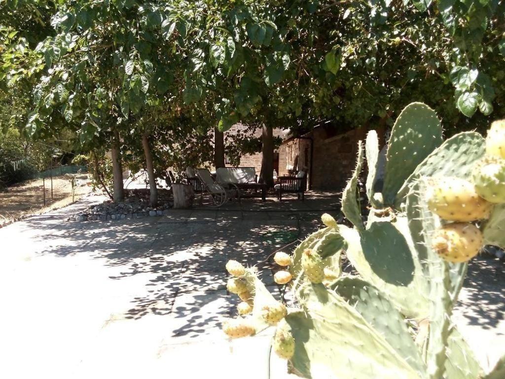 La tenuta i fichi d'india view 4