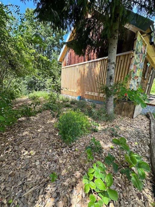 TajnyHauz Beehauz terapia na včelách view 5