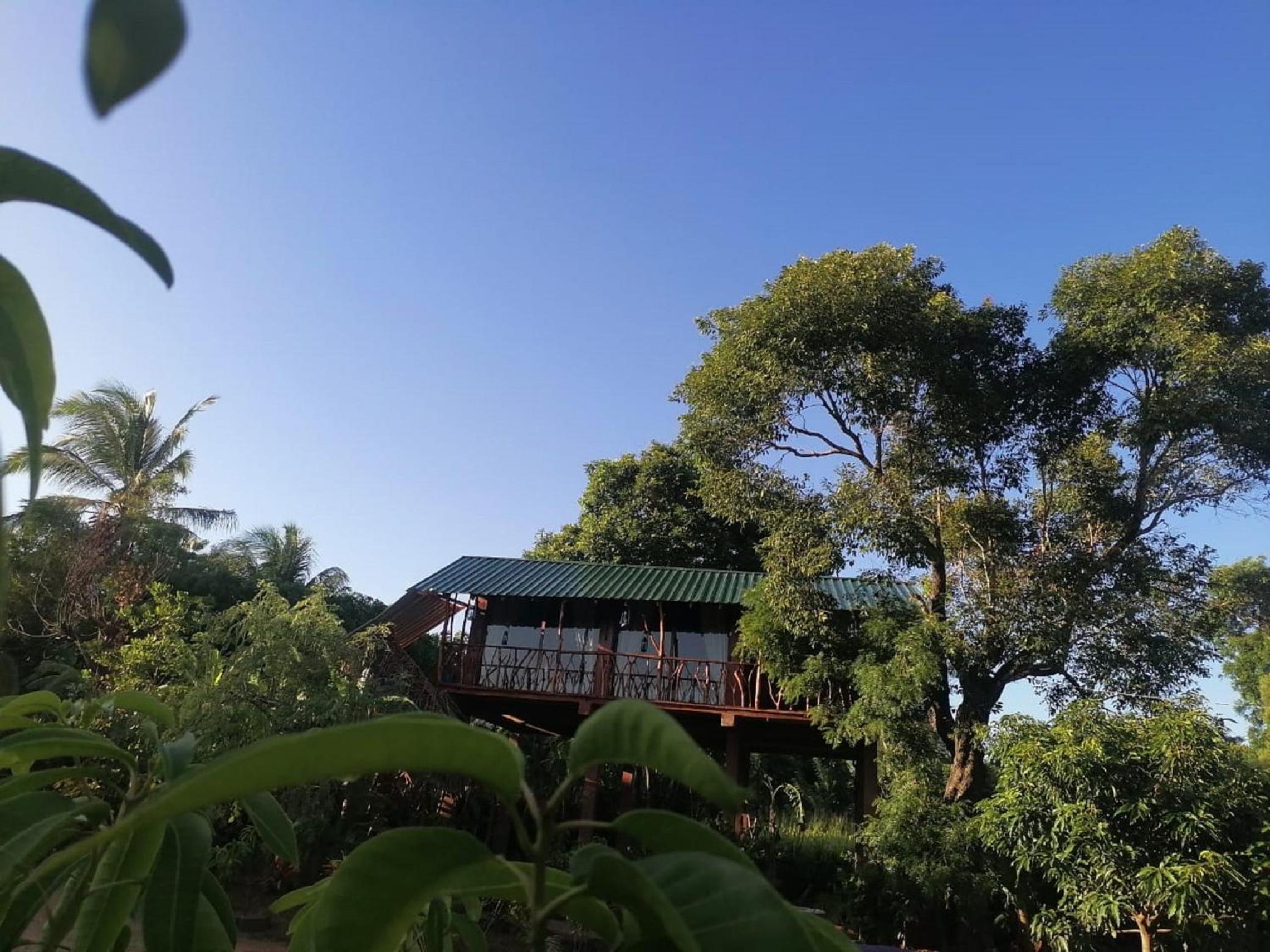 Sigiriya Rock View Tree house view 4
