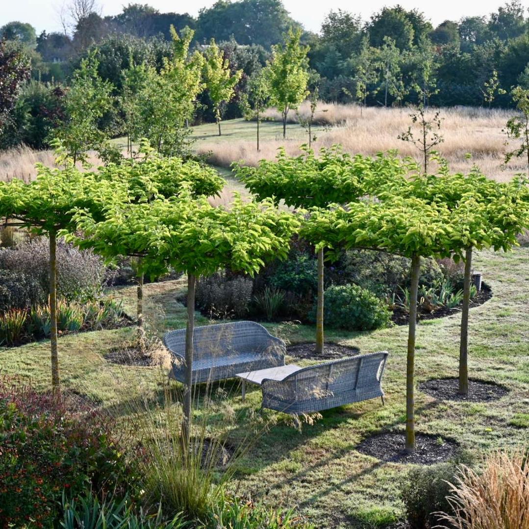 Orchard Dene