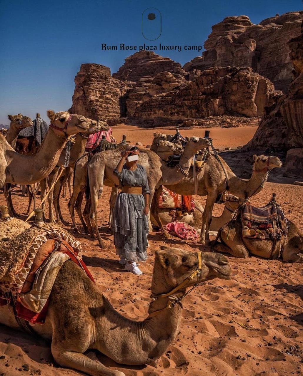 RUM MARS VALLEY BUBBLE lUXURY CAMP