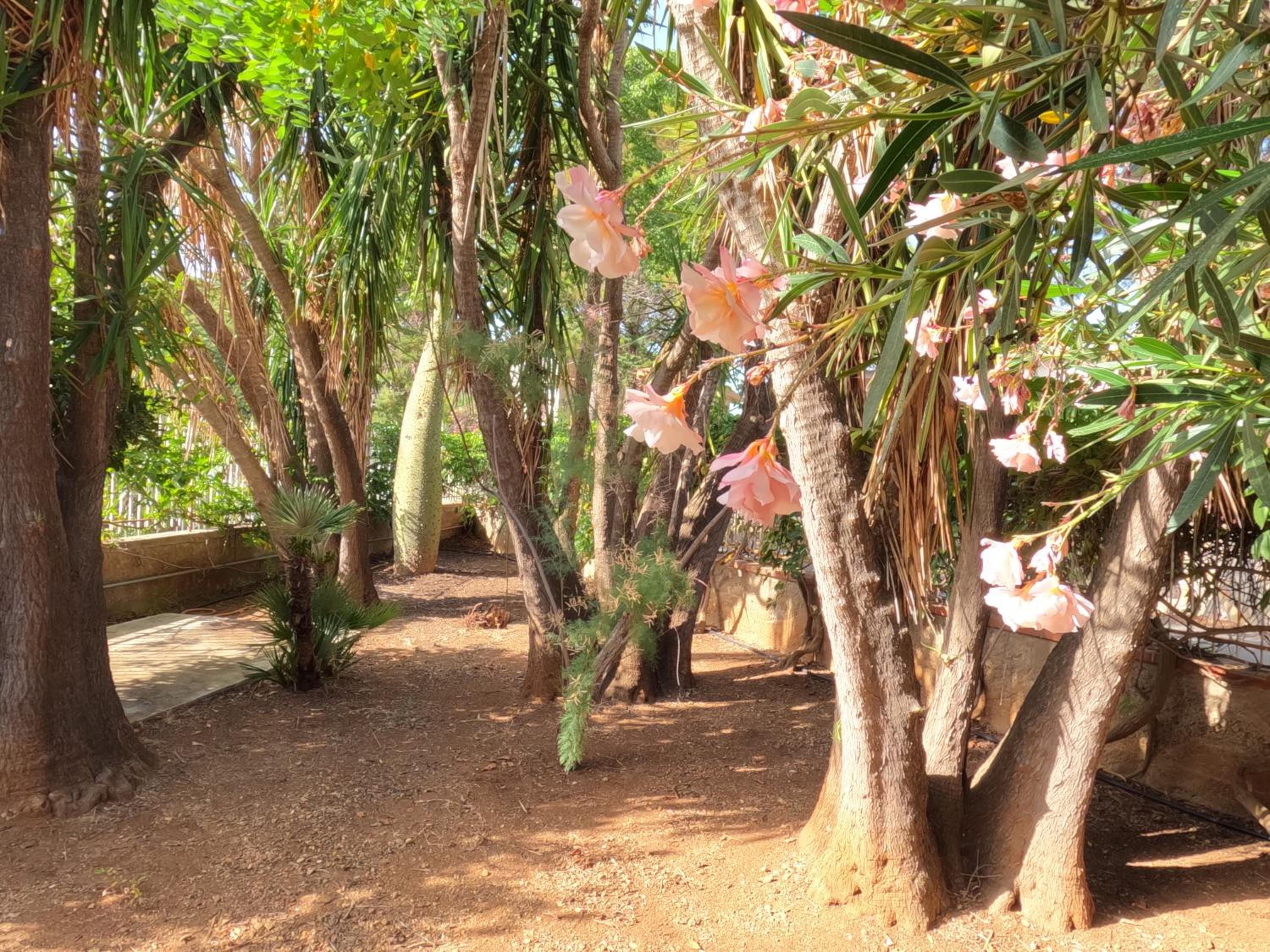 other