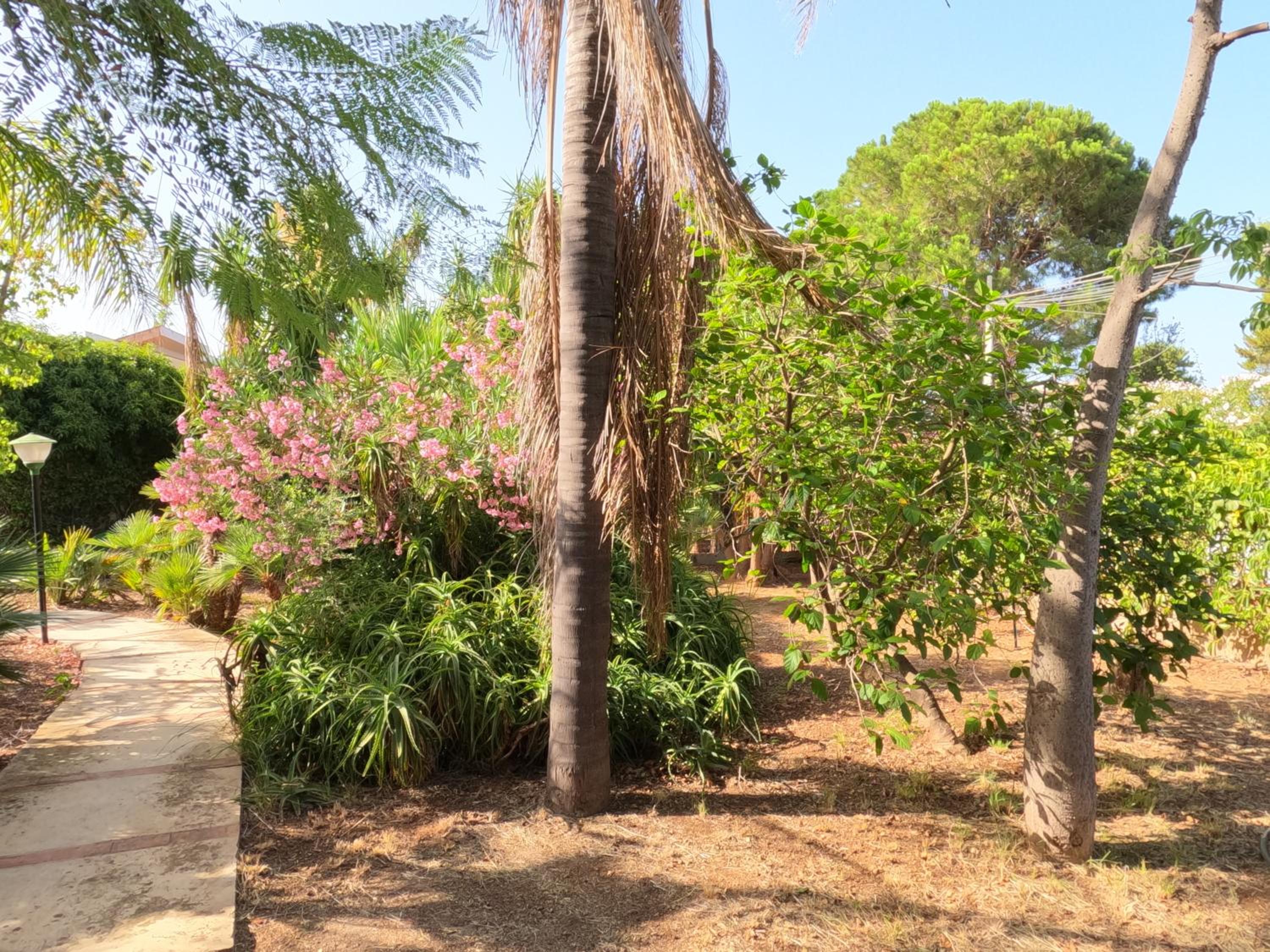 Villa Esperide