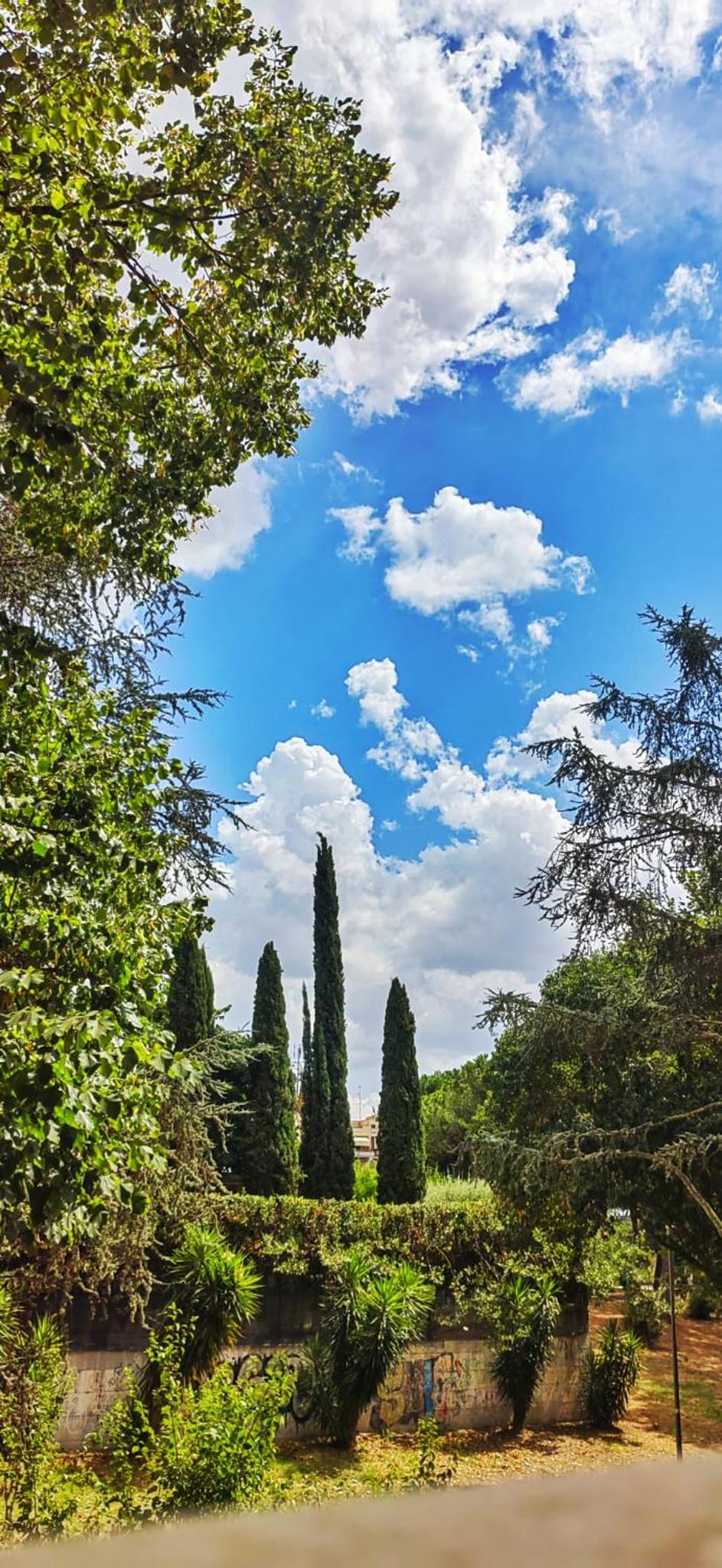 Renzi Guest House