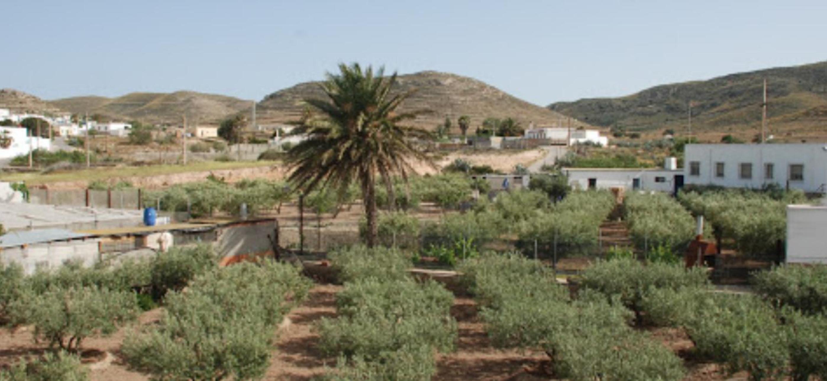 Casa Rural El Olivo